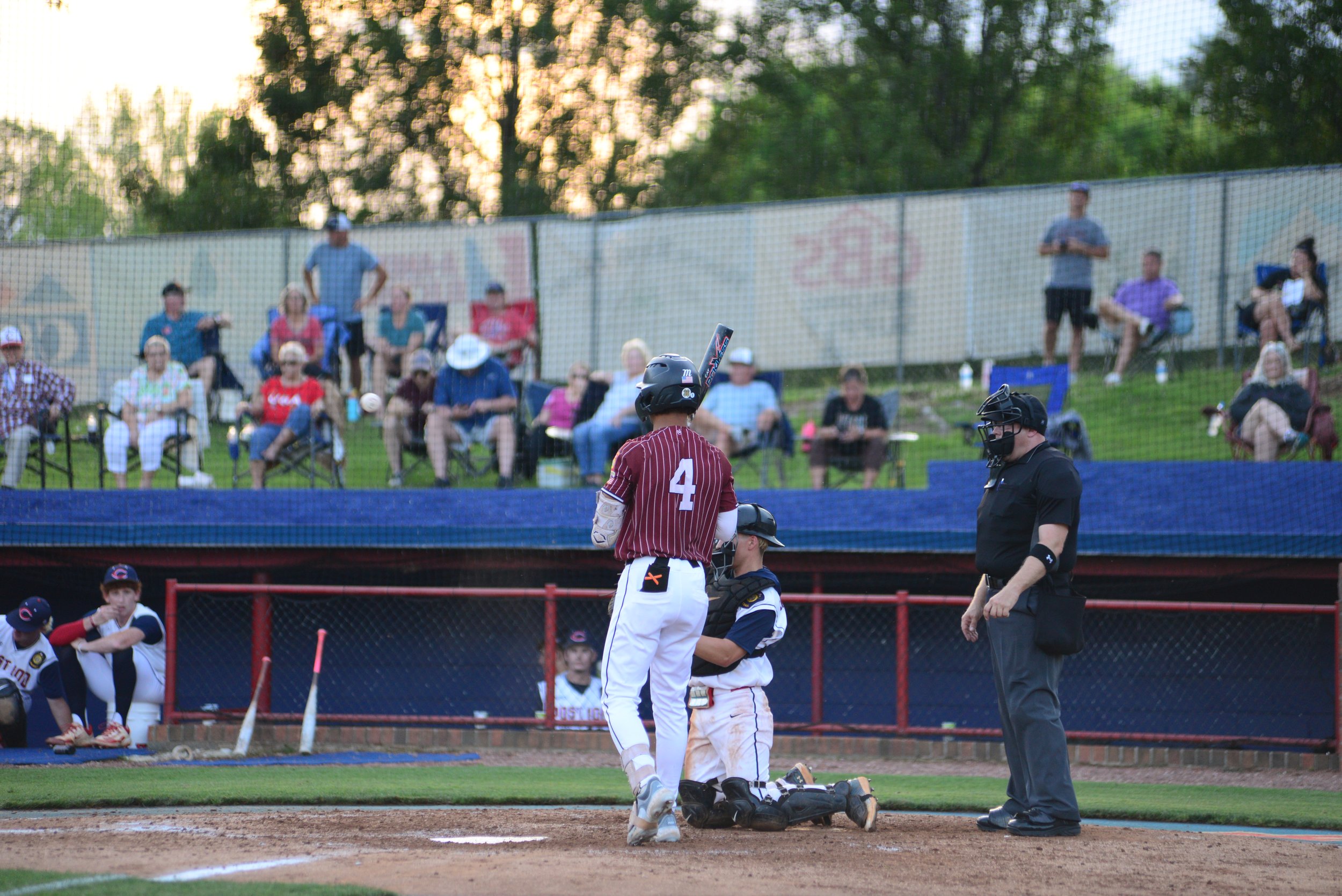 DSC_3109.JPG