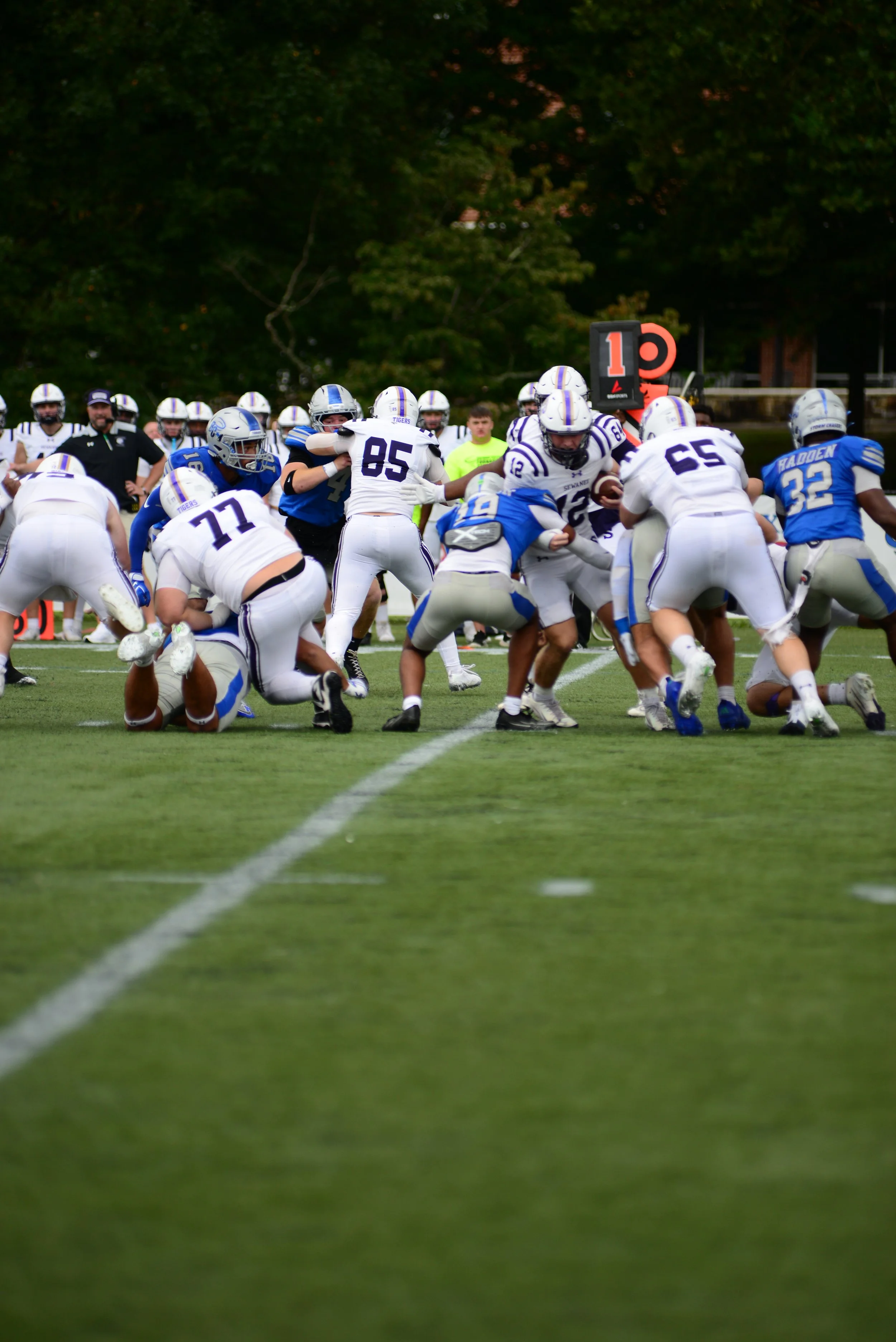 DSC_9046.JPG