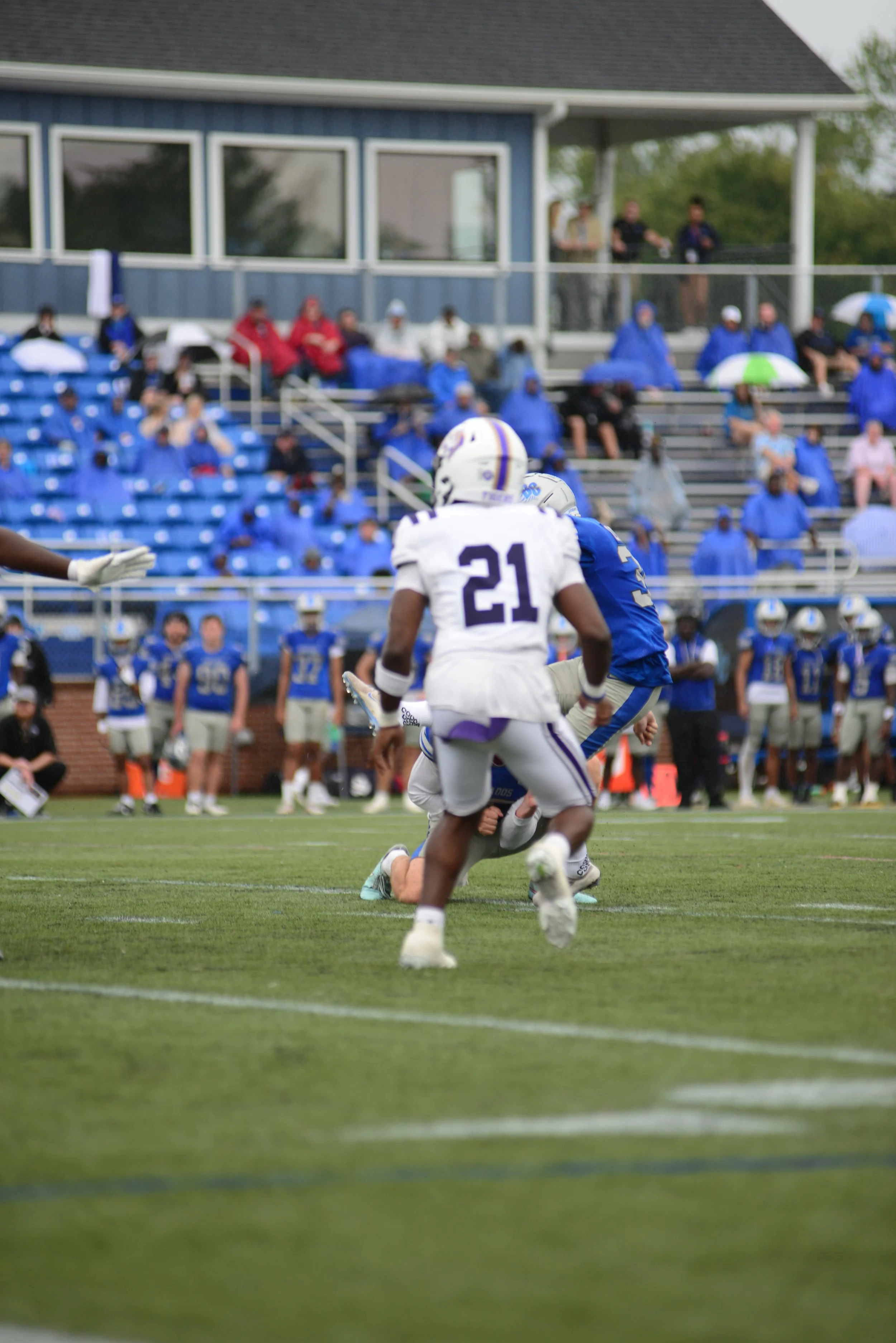 DSC_9321.JPG