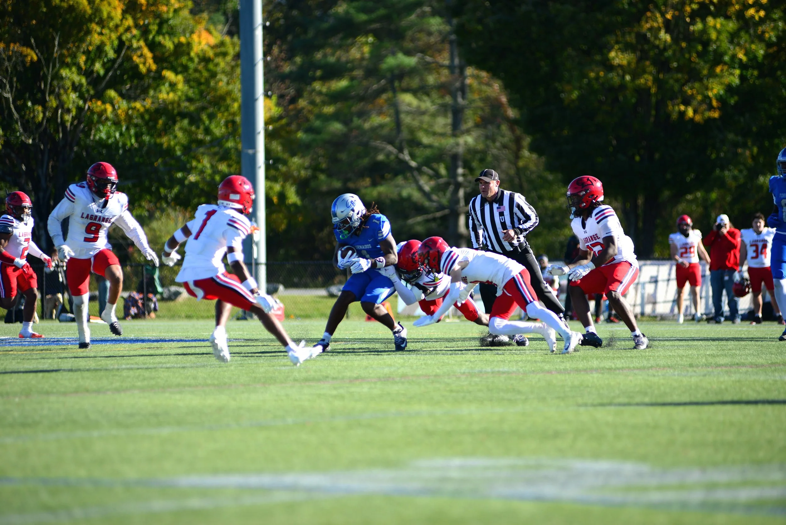 DSC_4754.JPG