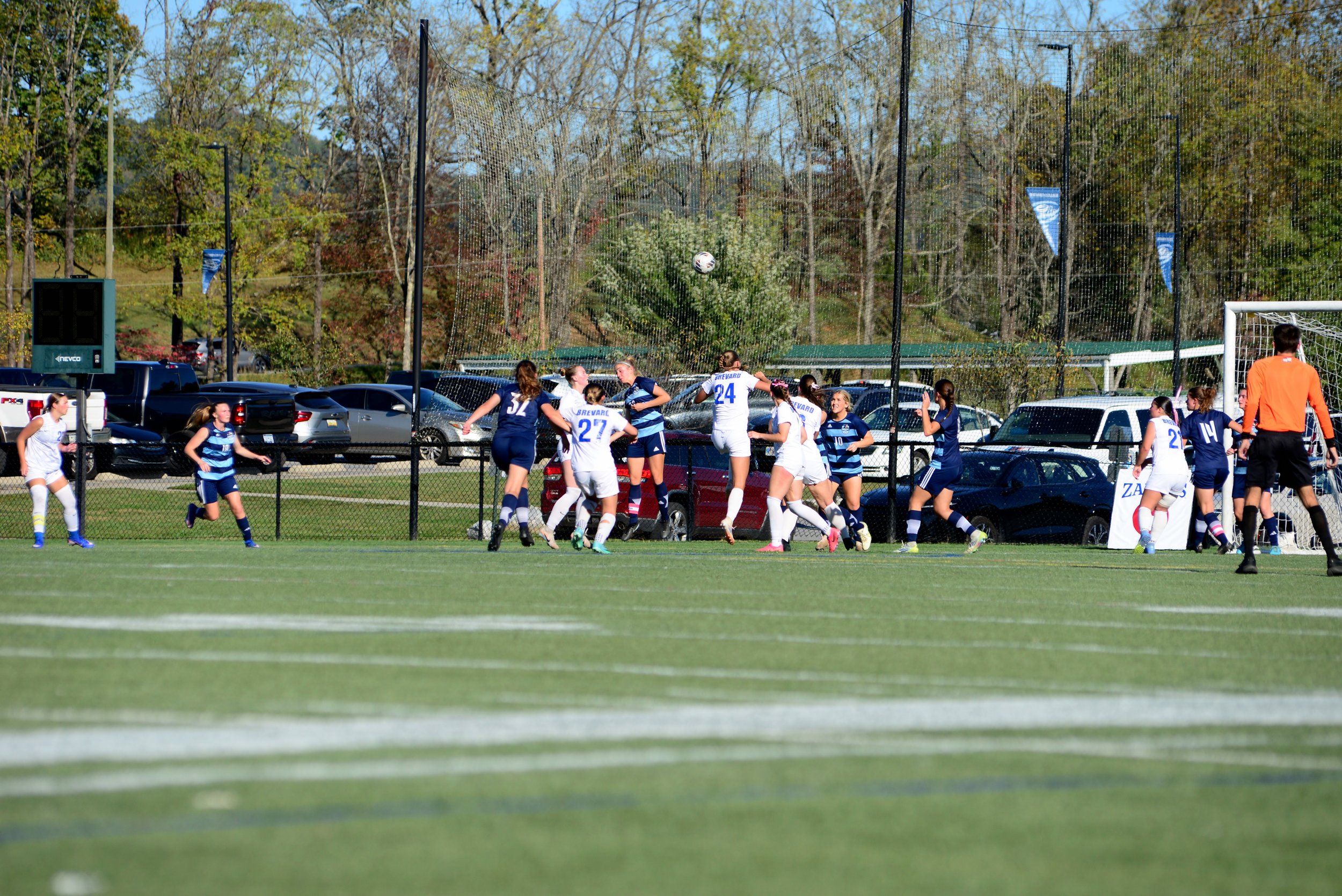 DSC_3233.JPG