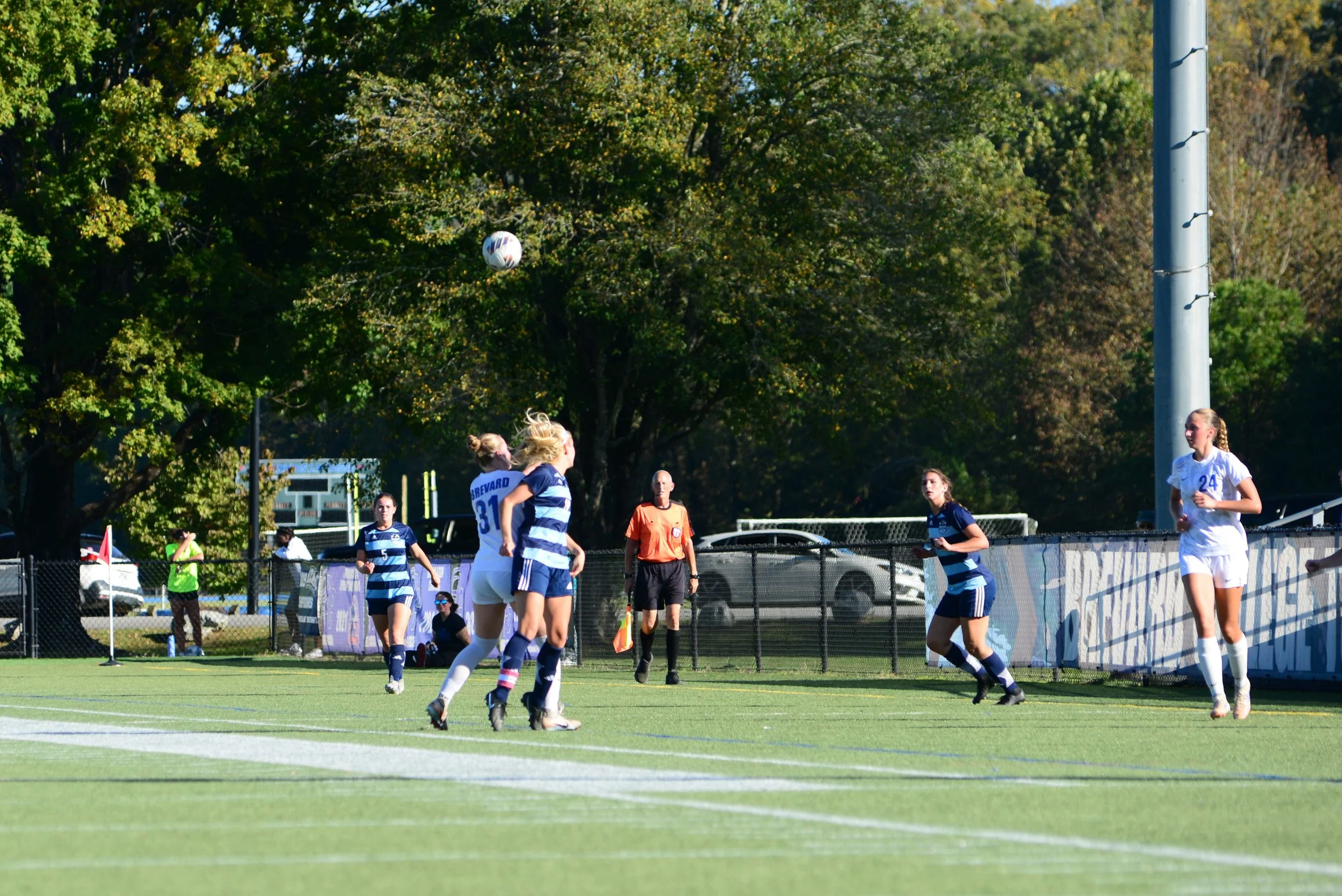 DSC_3263.JPG