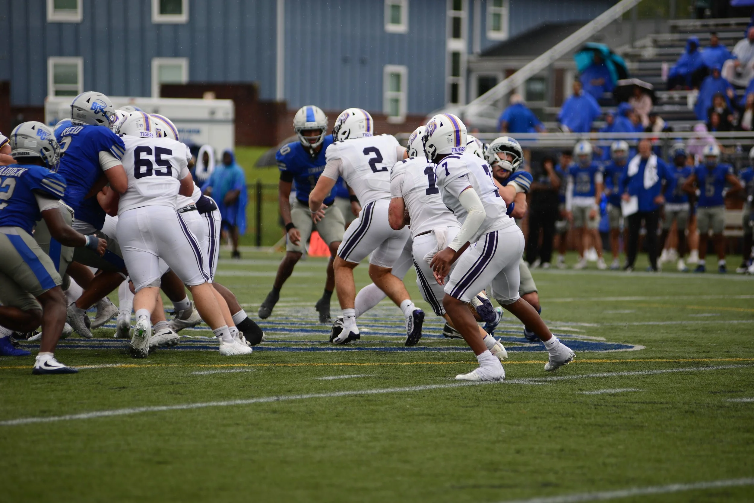 DSC_9276.JPG