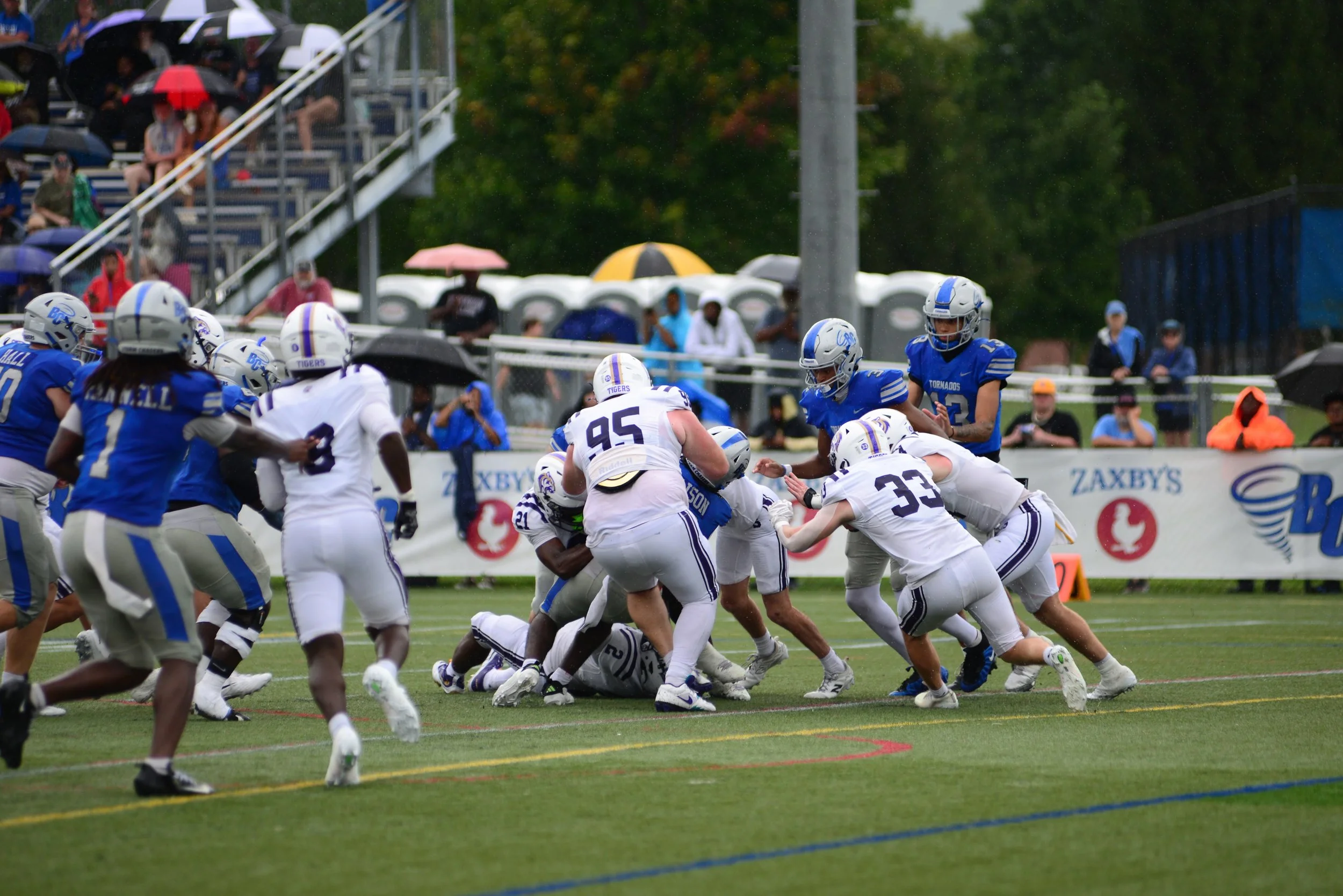 DSC_9172.JPG