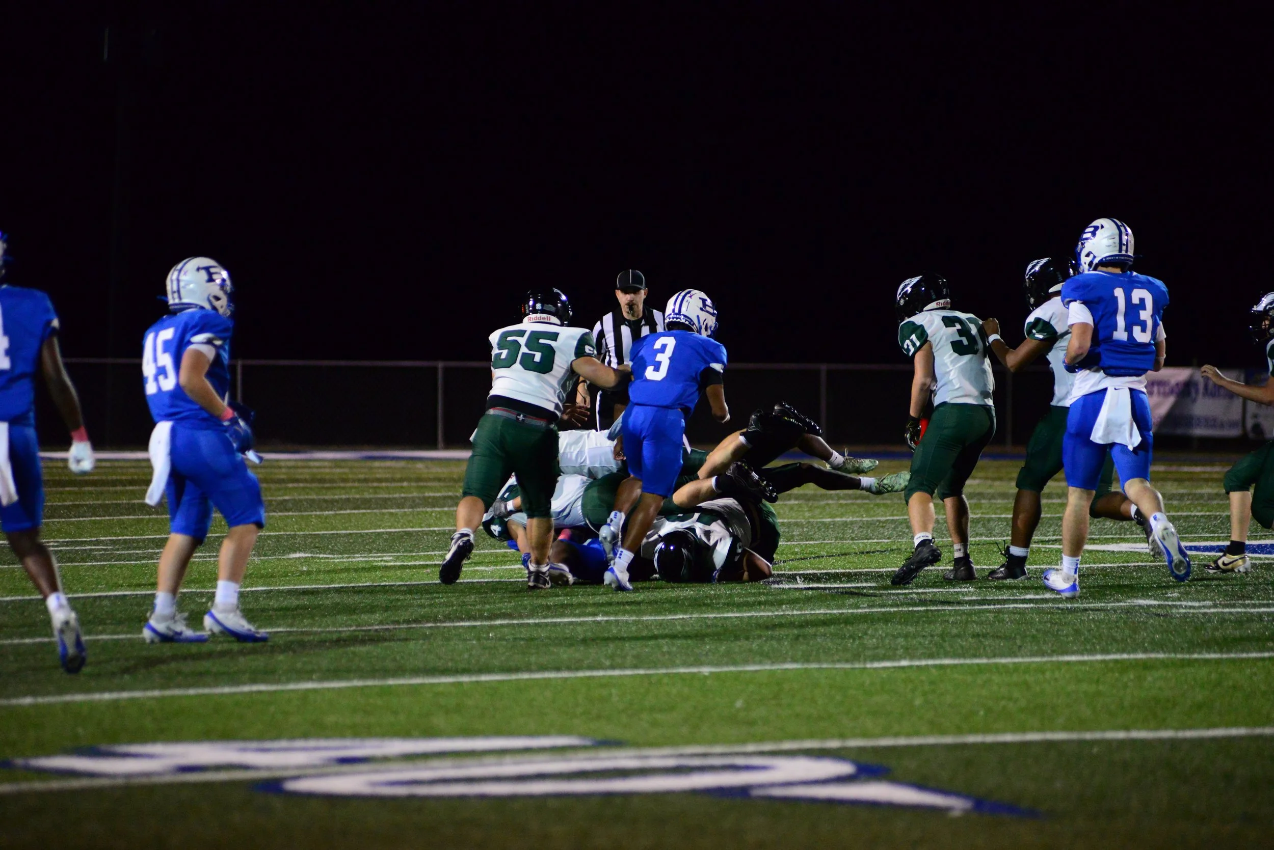DSC_1546.JPG