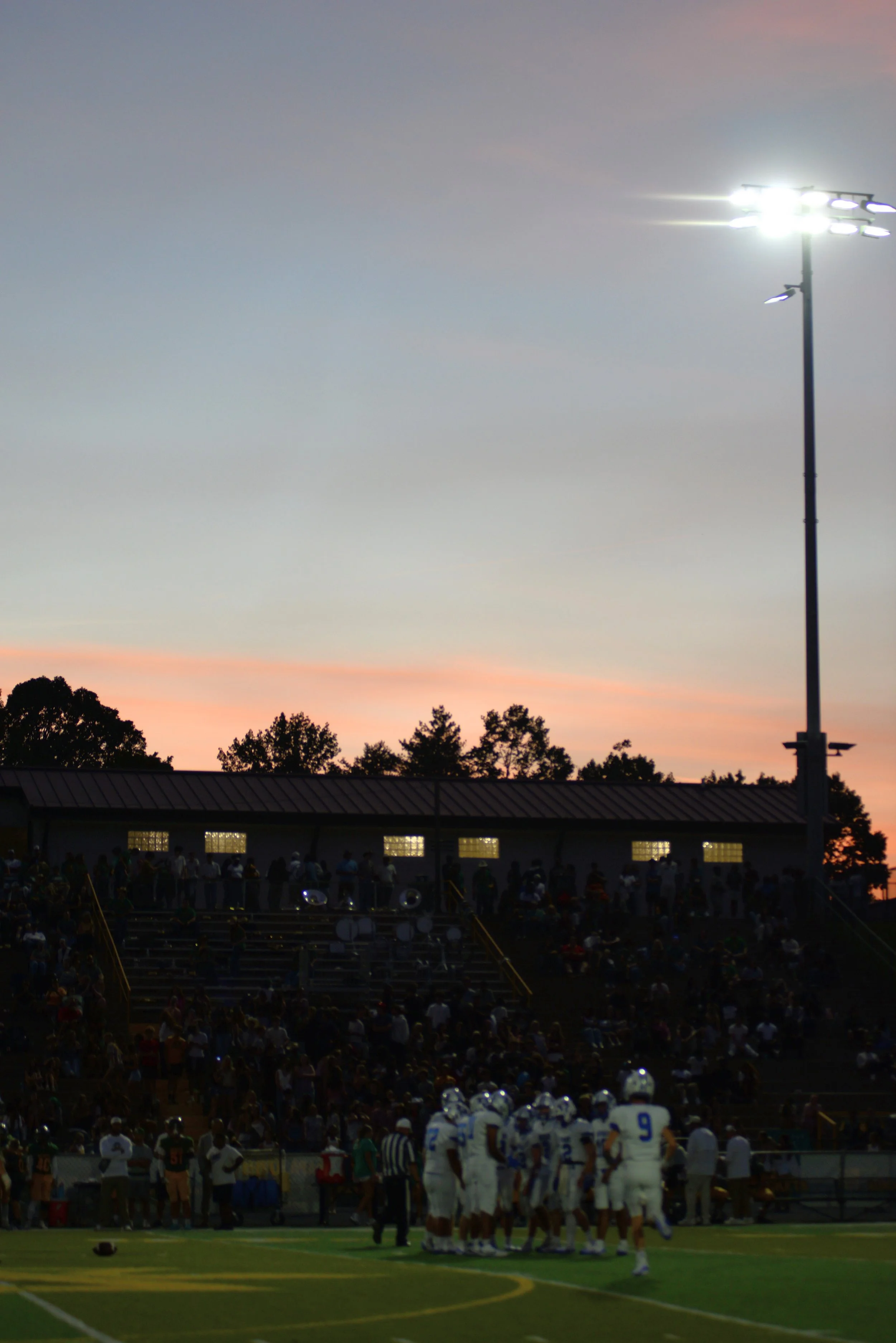 DSC_7080.JPG