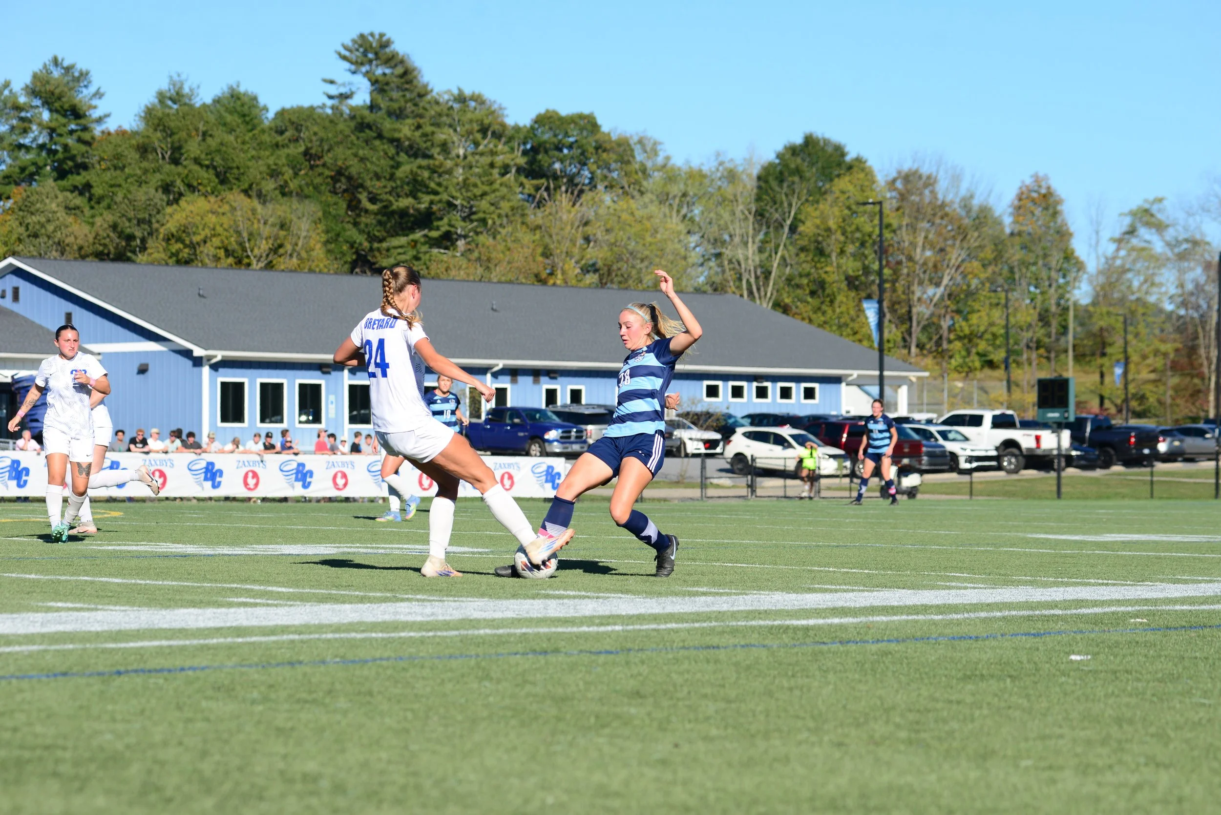 DSC_3237.JPG