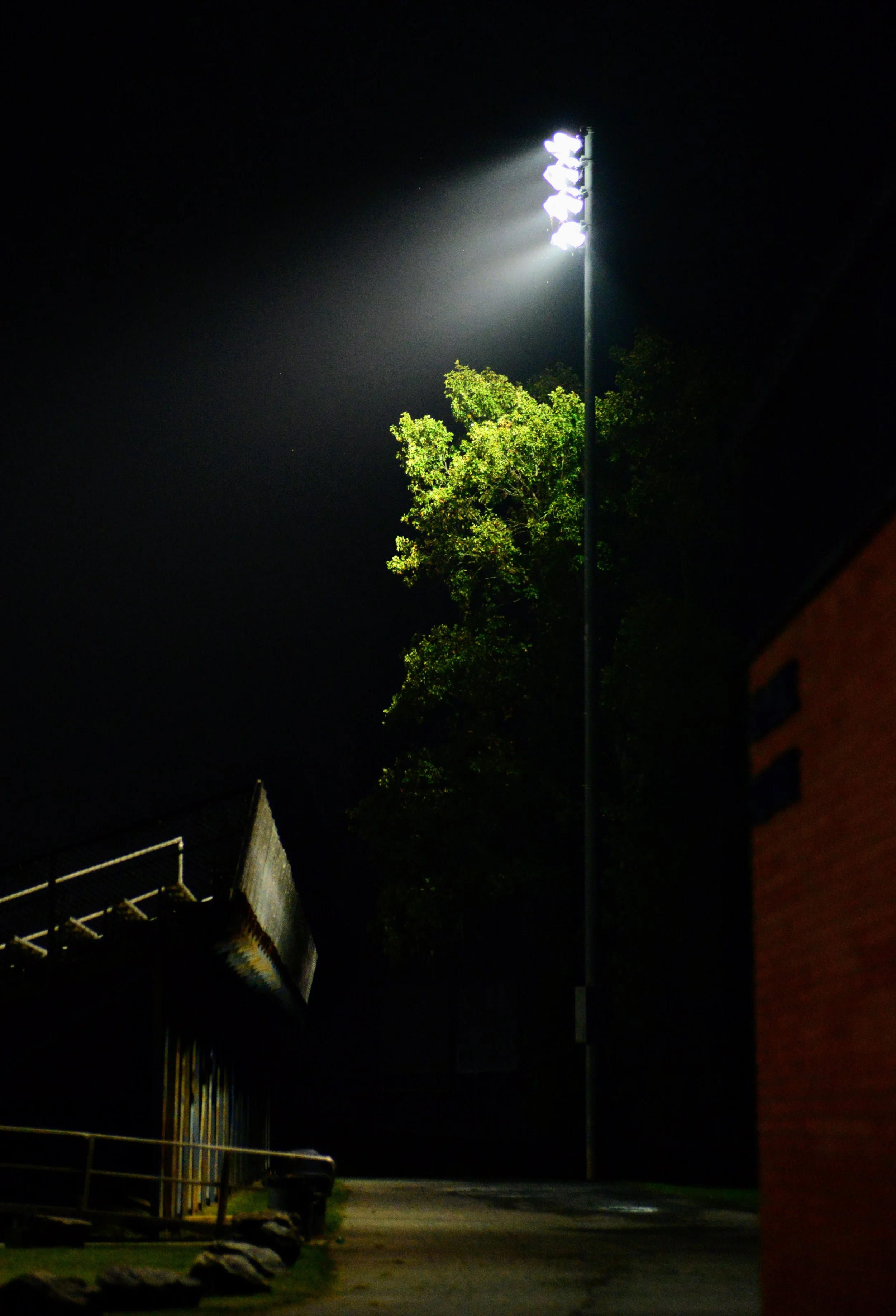 DSC_8648.JPG