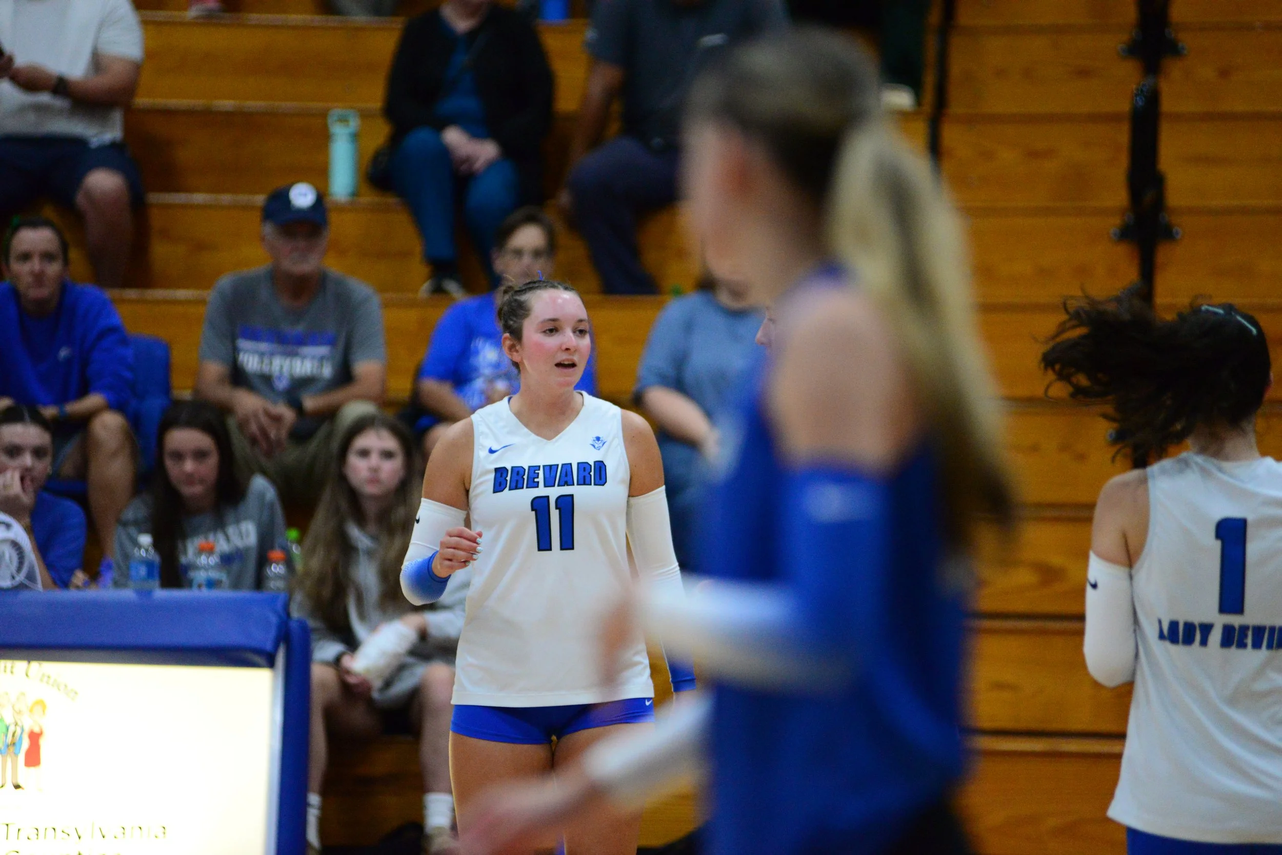 DSC_5434.JPG