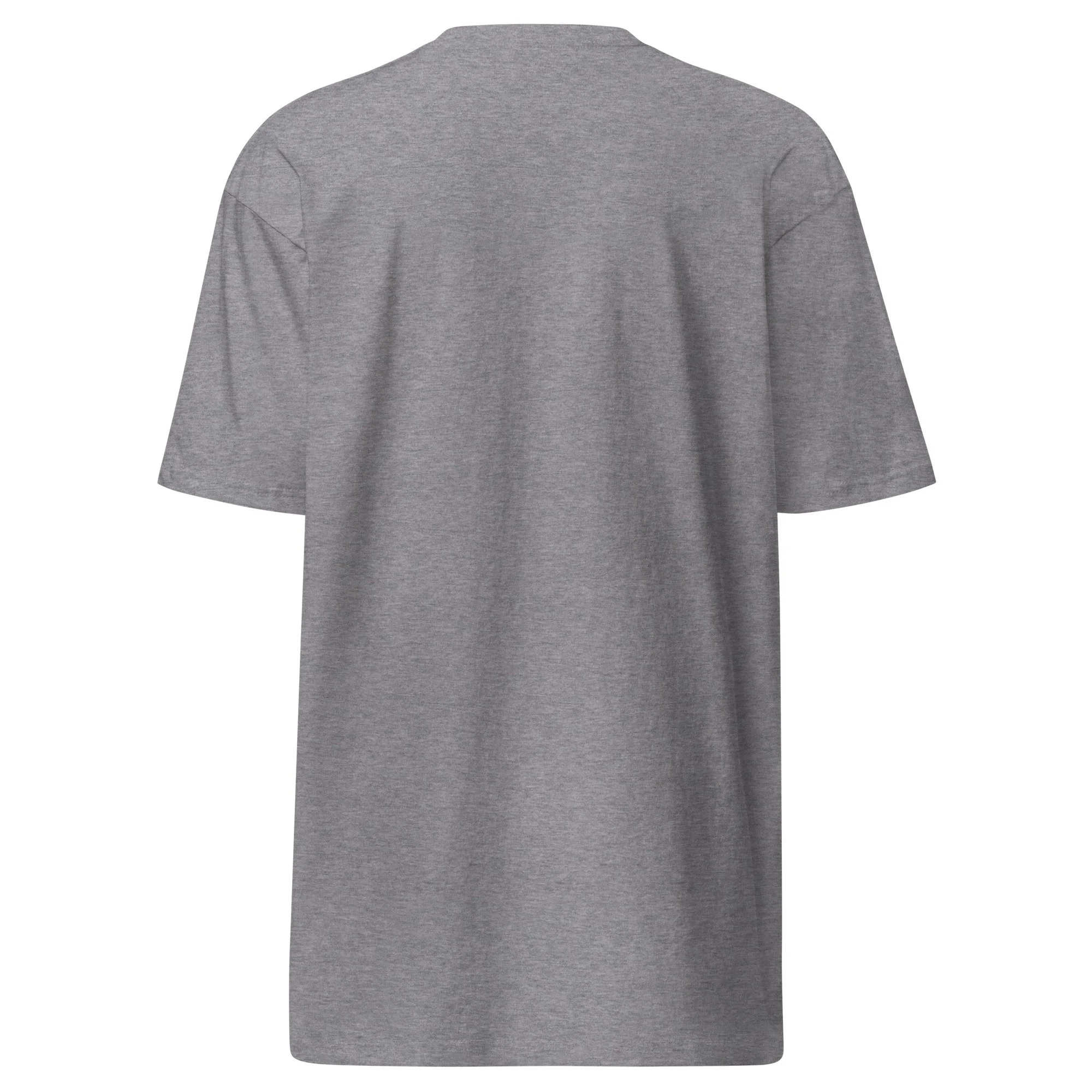 mens-premium-heavyweight-tee-carbon-grey-back-699e4e3b1f87c.jpg