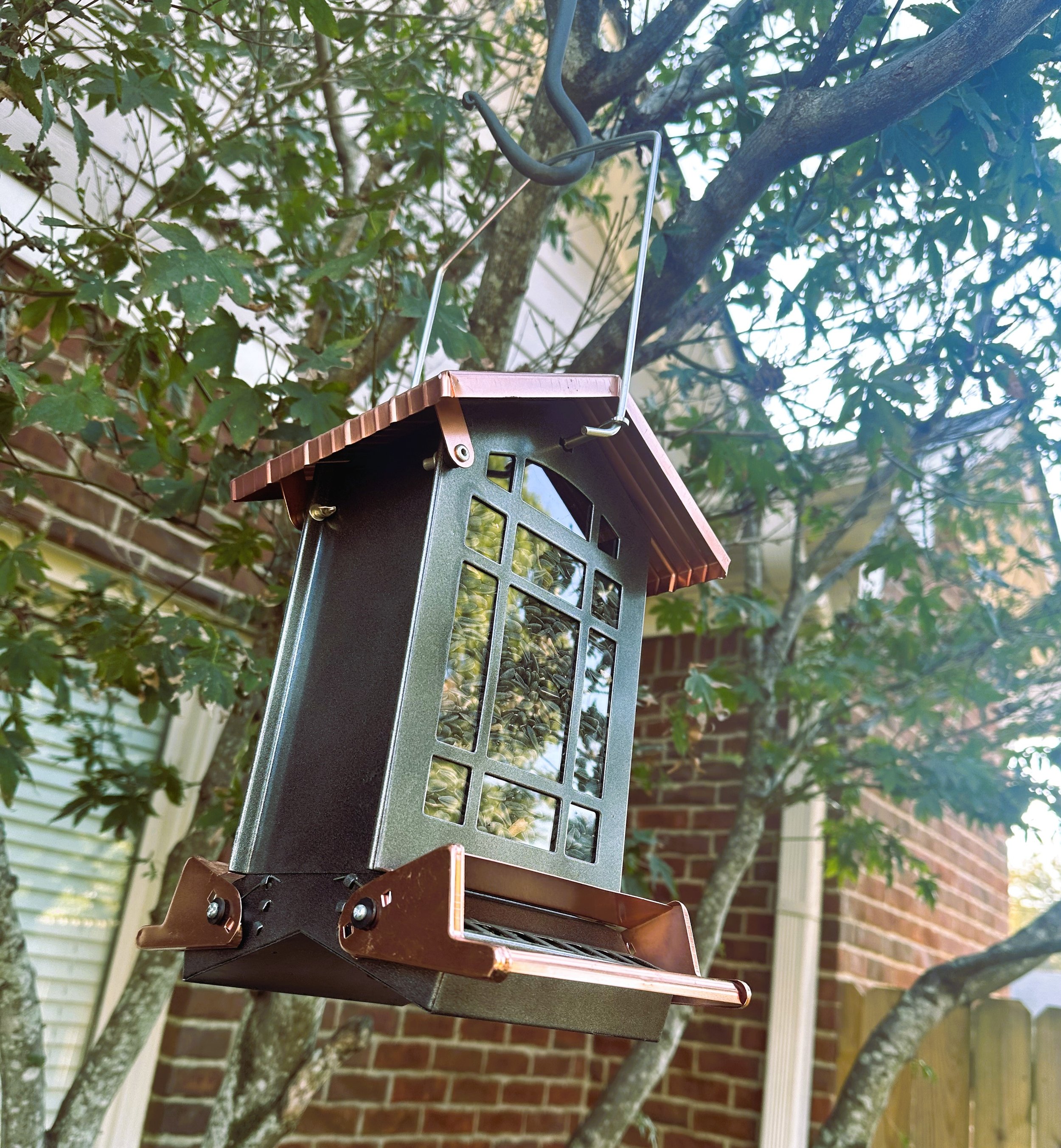 feeder.JPG