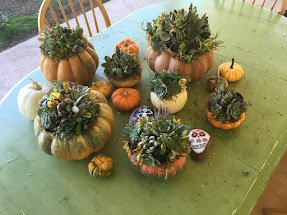 20161013_102549_IMG_0346.jpg