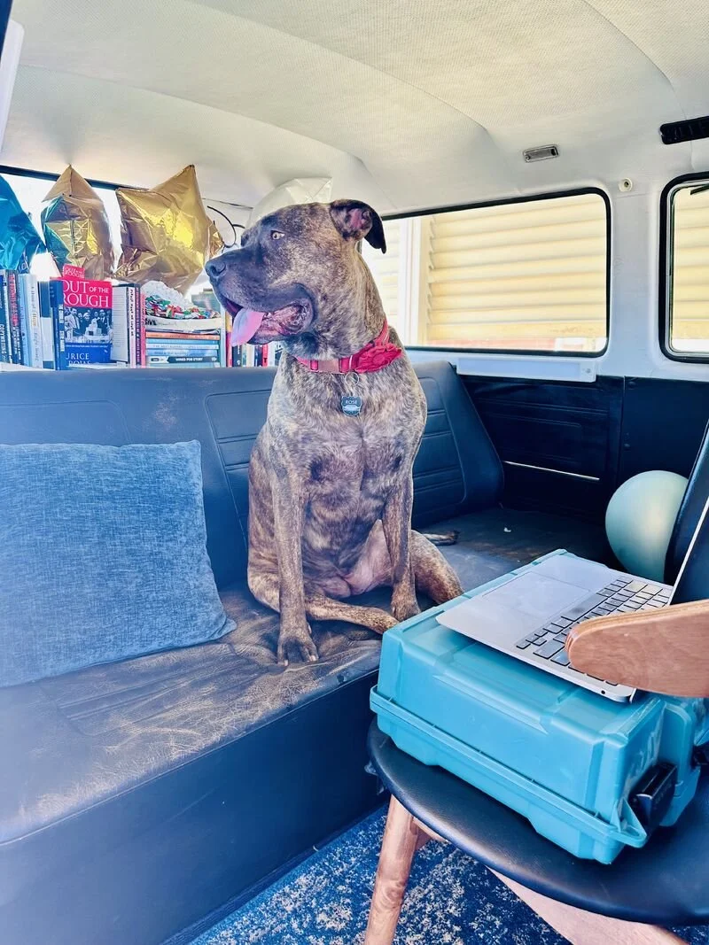 Launched your book but hearing crickets? 