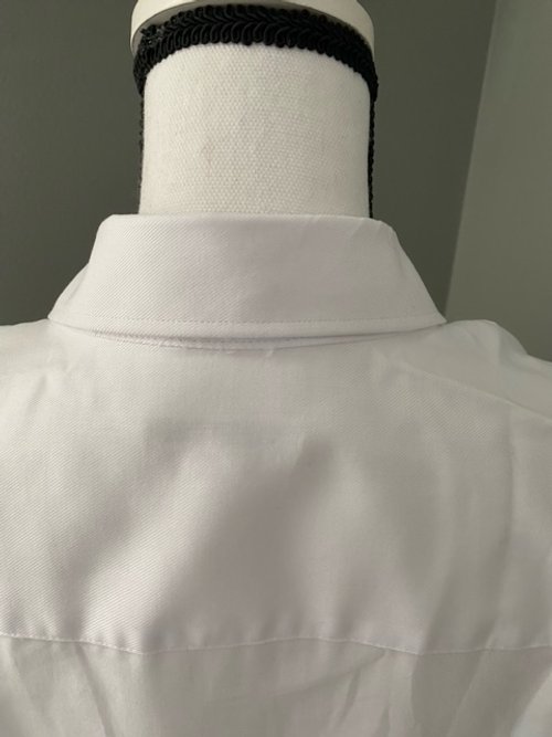 Button down rear collar view.jpeg