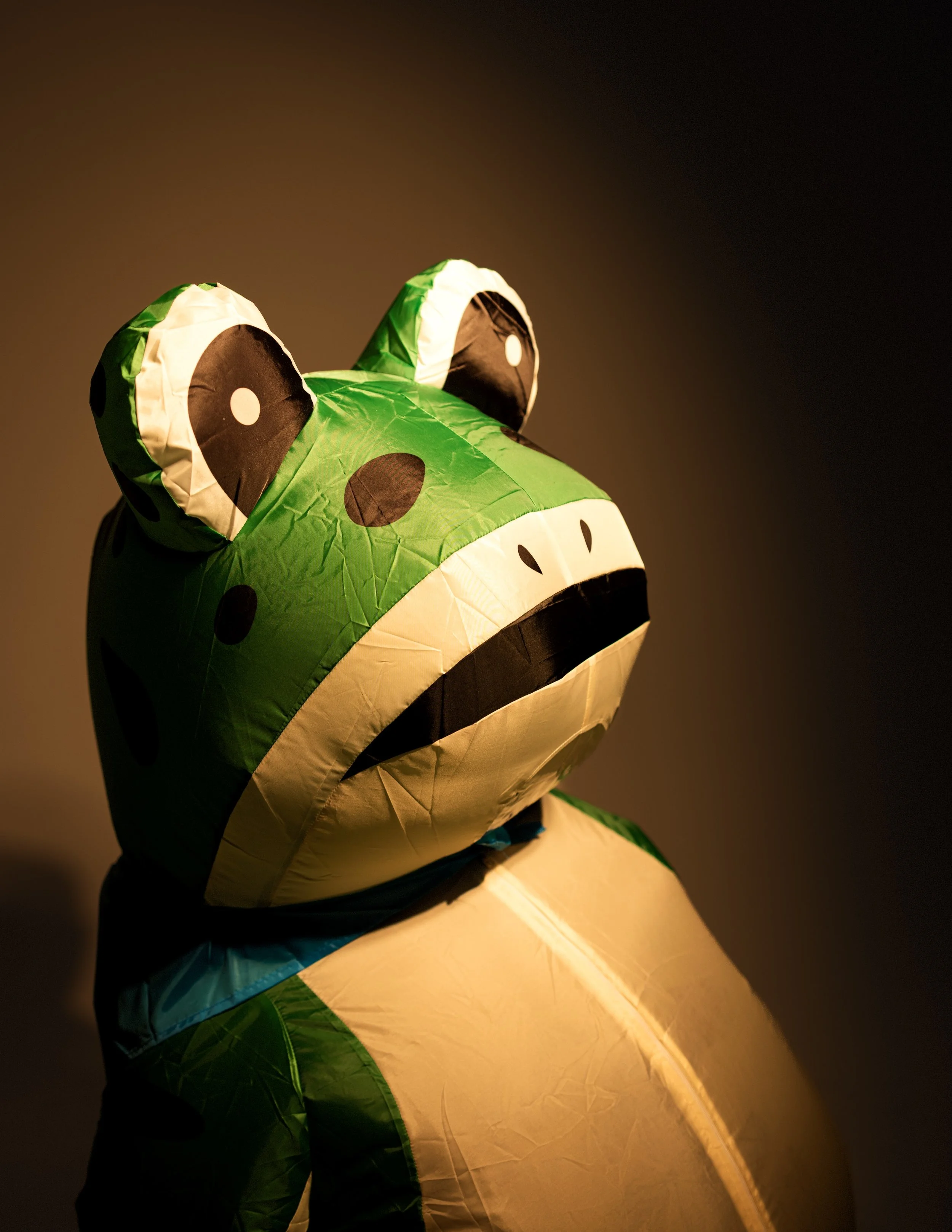 The original inflatable frog costume at the ICE protests in Portland, OR. Seth Todd is @theantifascistfrog on instagram.