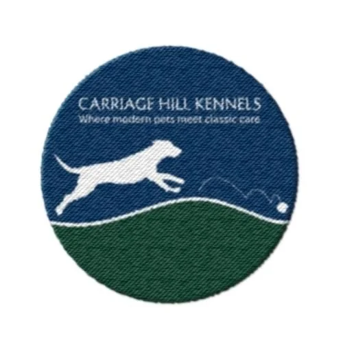 Field Day Designs updated a brand system for a pet care business with heritage‑athletic styling, dog illustrations, and warm tones that reflect trust, playfulness, and crafted care.