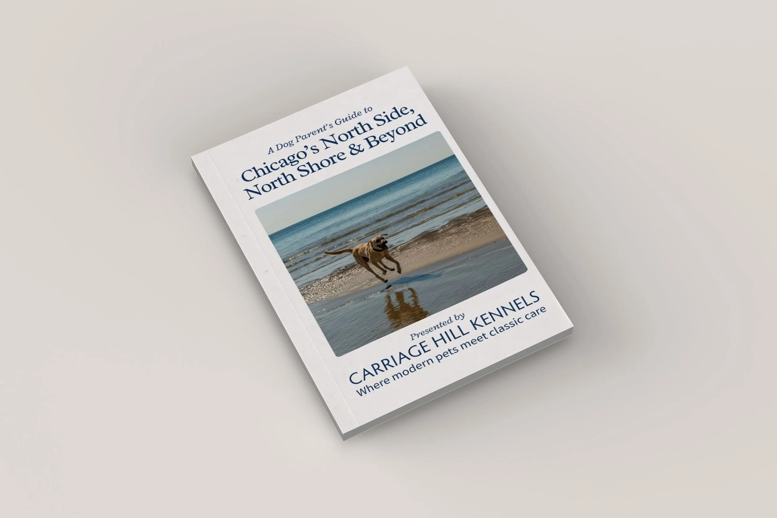 Field Day Designs lead‑magnet ebook cover for dog parents in Chicago’s North Side and North Shore, featuring a joyful dog running along the beach and clean, intentional design created to engage local pet owners and grow community followers.