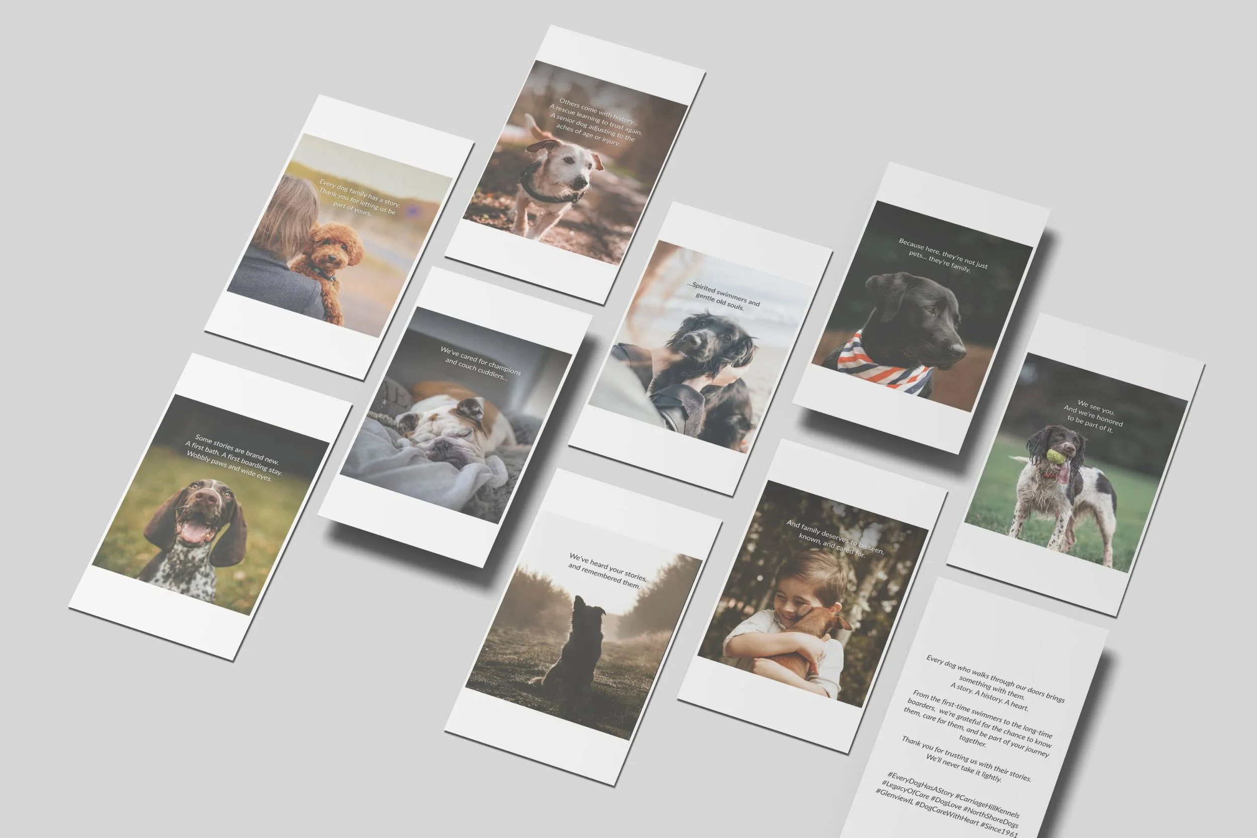 A collection of social media content creation posts featuring heartfelt dog photography and short captions about loyalty, care, and family, representing a pet‑care storytelling campaign focused on compassion and connection.