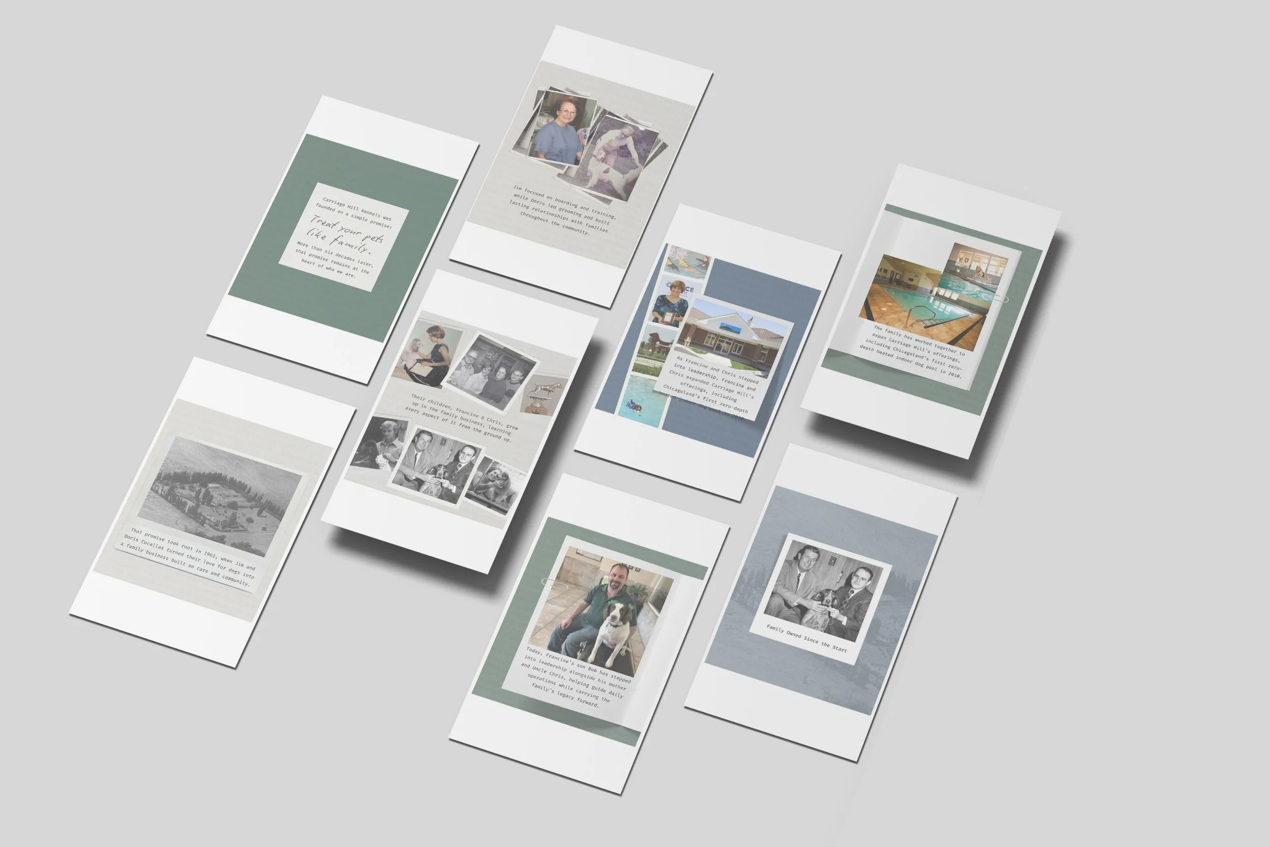 Smartphone mockups and printed materials showcasing social media posts and guides for a pet‑care business, featuring dogs, swimming, spa imagery, and local Glenview references in a cohesive brand layout.