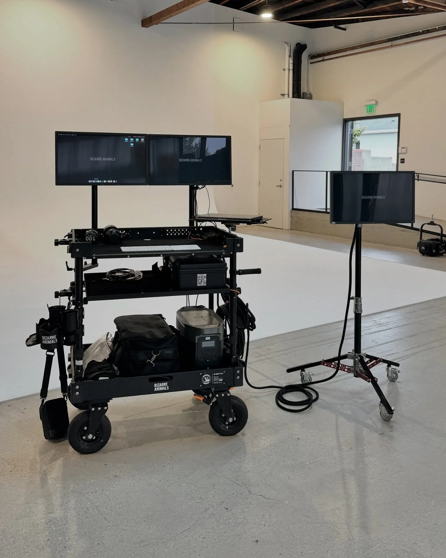 Tested out the double LG cart setup today
