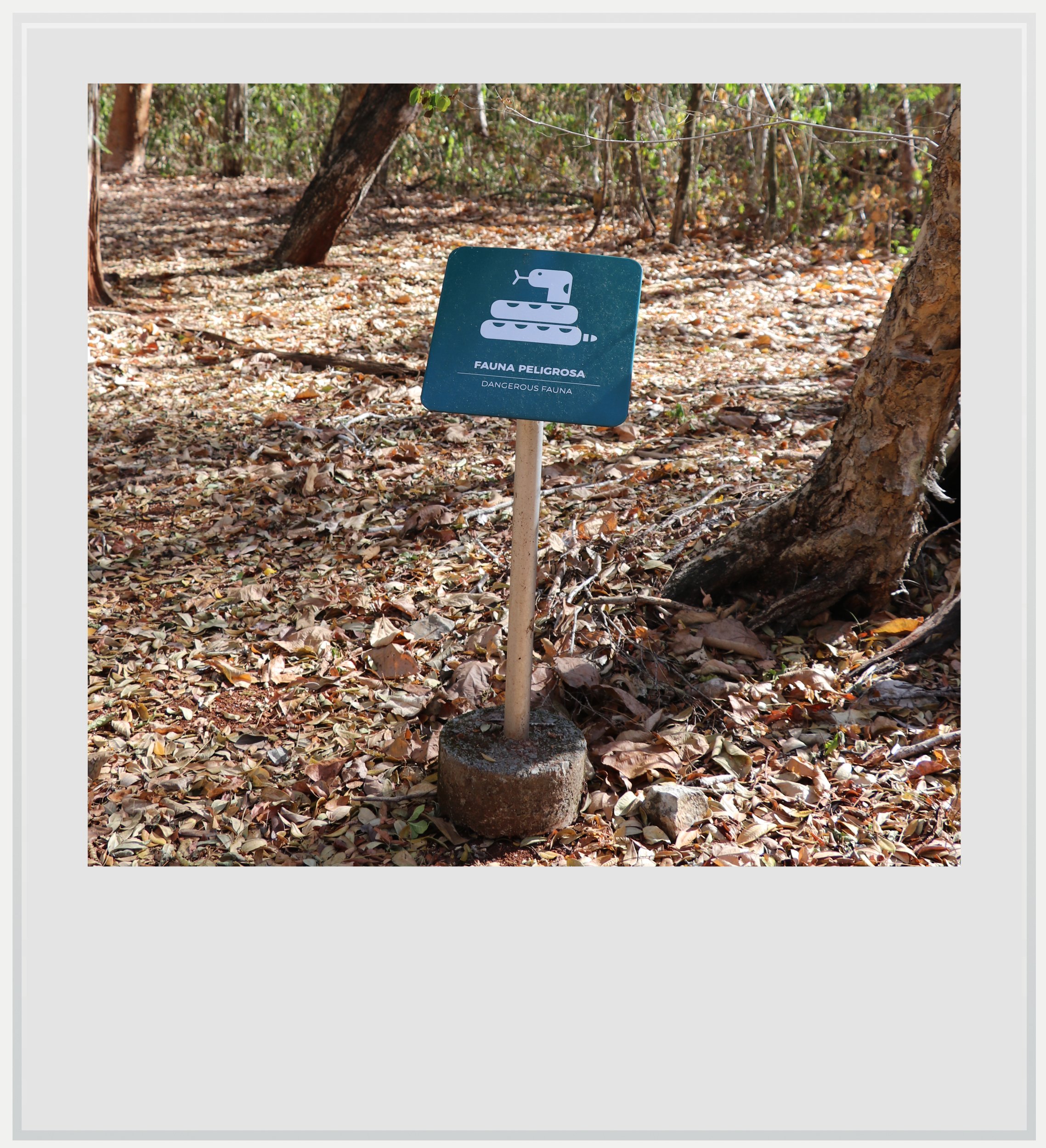 The ominous snake warning sign at Sayil, Yucatan, Mexico.
