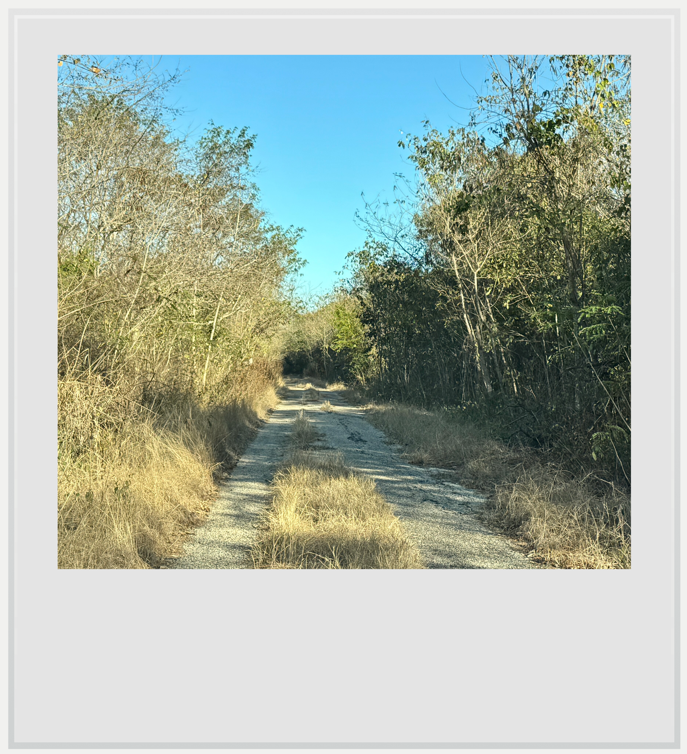 Road to Hochob, Campeche, Mexico