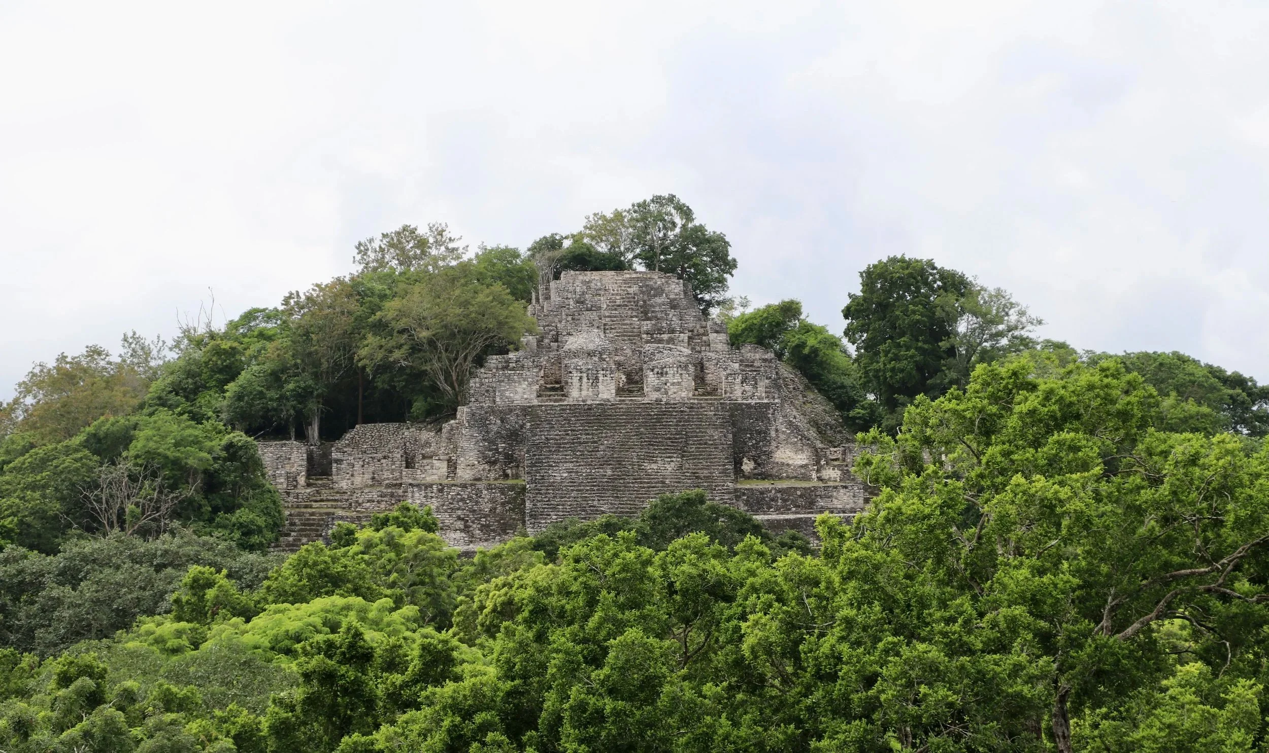 Calakmul (coming Spring 2026)