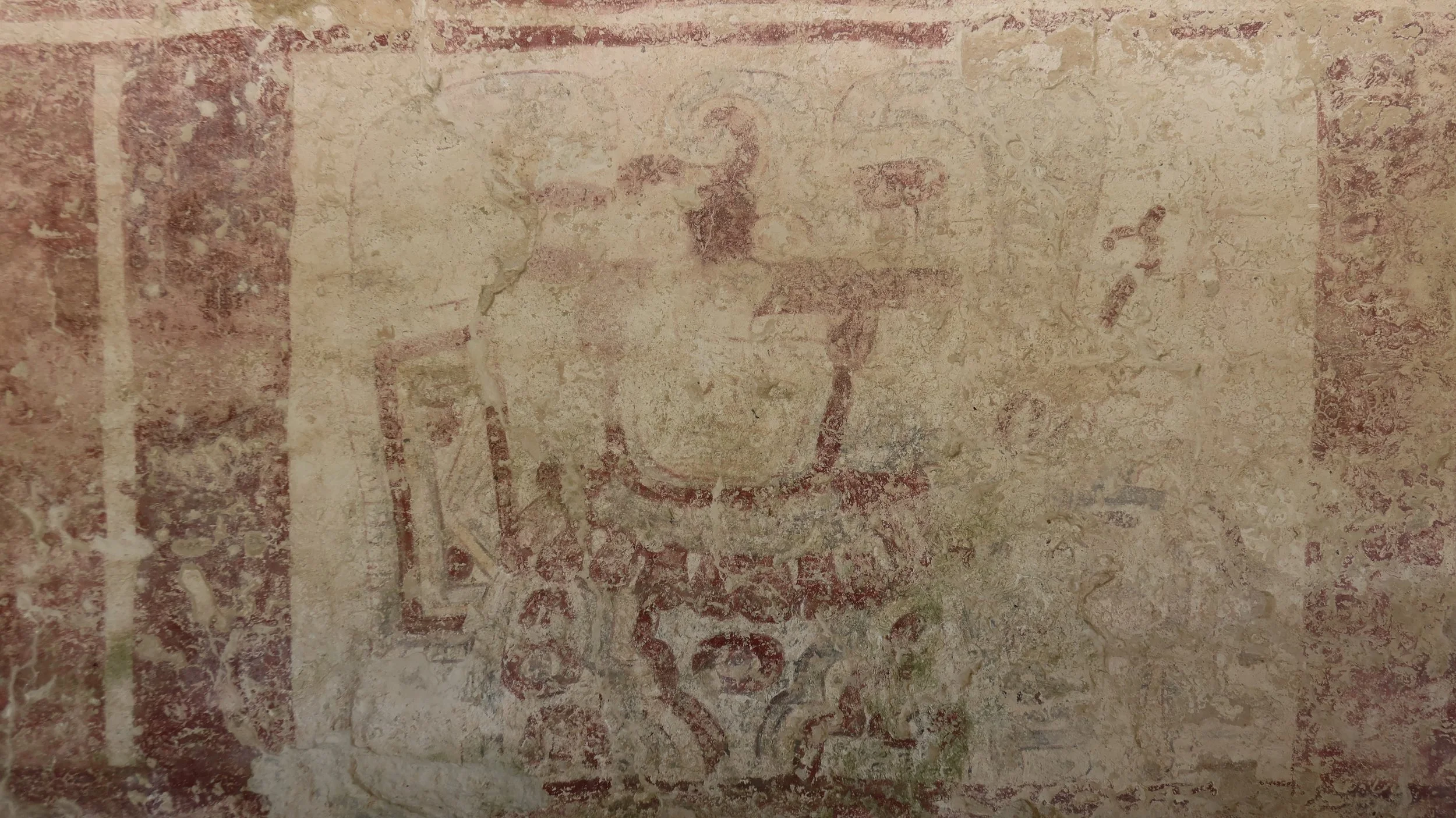 Xelha, Mexico.