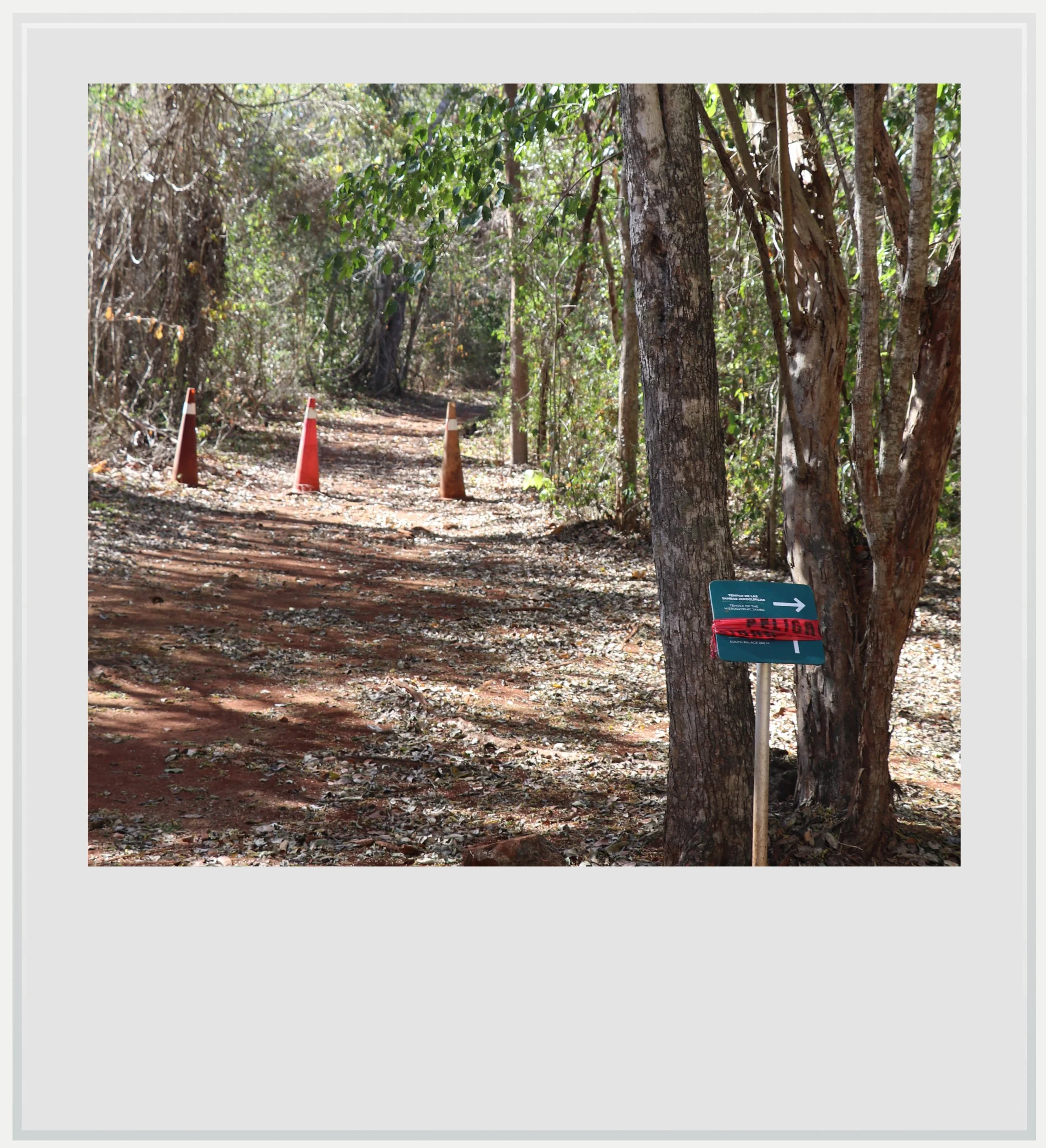 Blocked access at Sayil, Yucatan, Mexico.