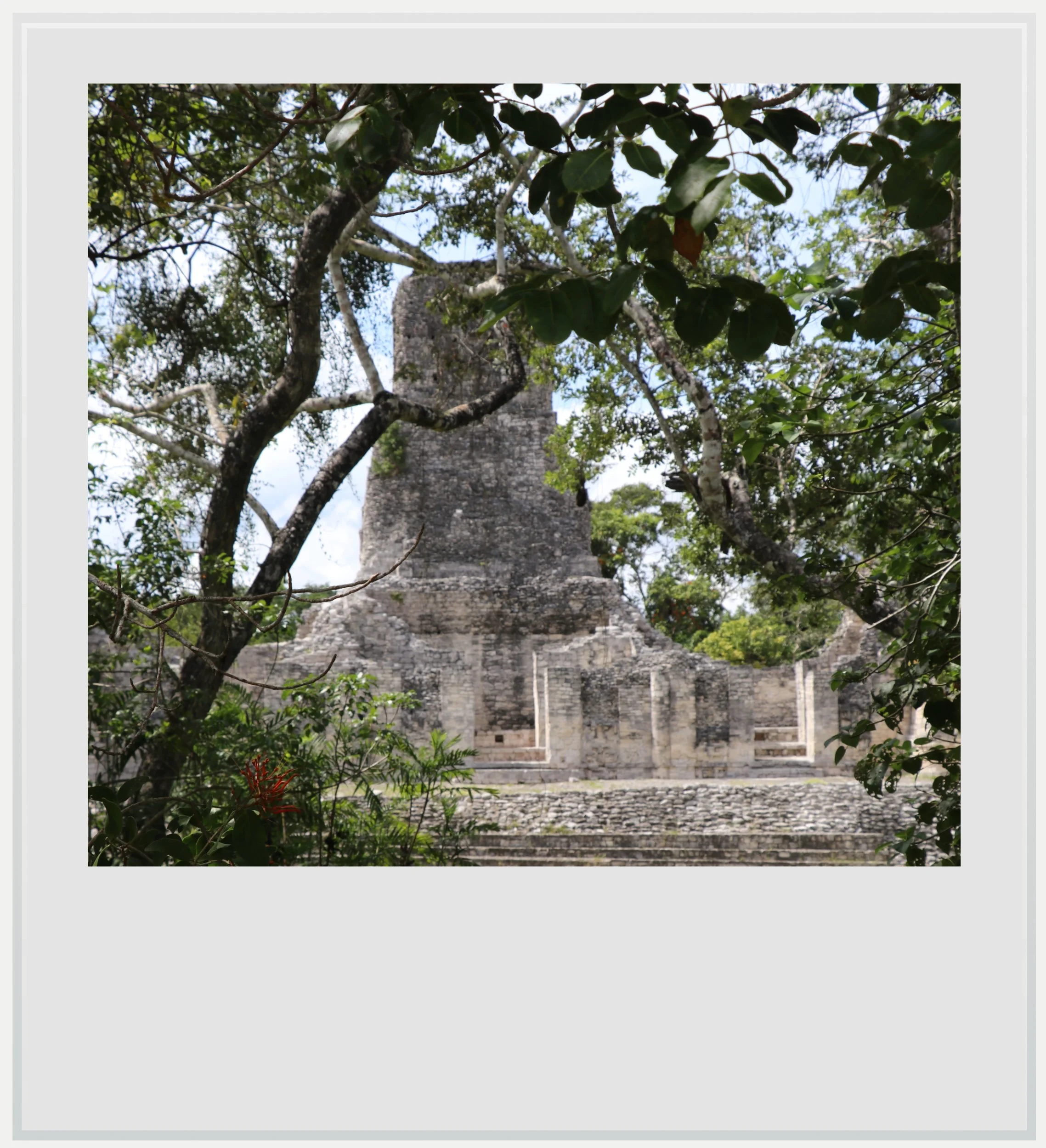 A partial view of Building 1, the main structure on the site, in Xpujil, Campeche, Mexico.