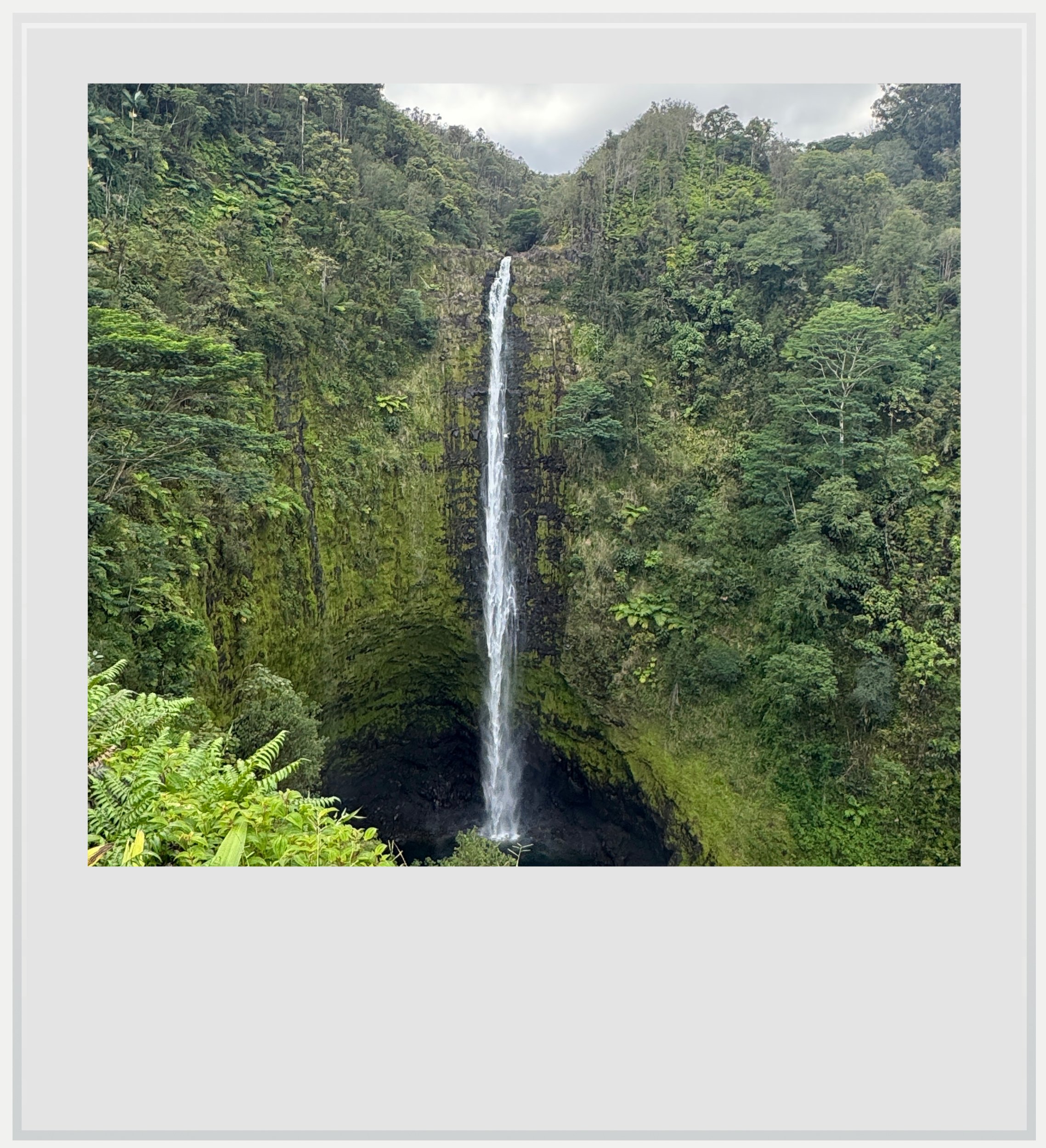 The Akaka Falls on Hawaii's Big Island.