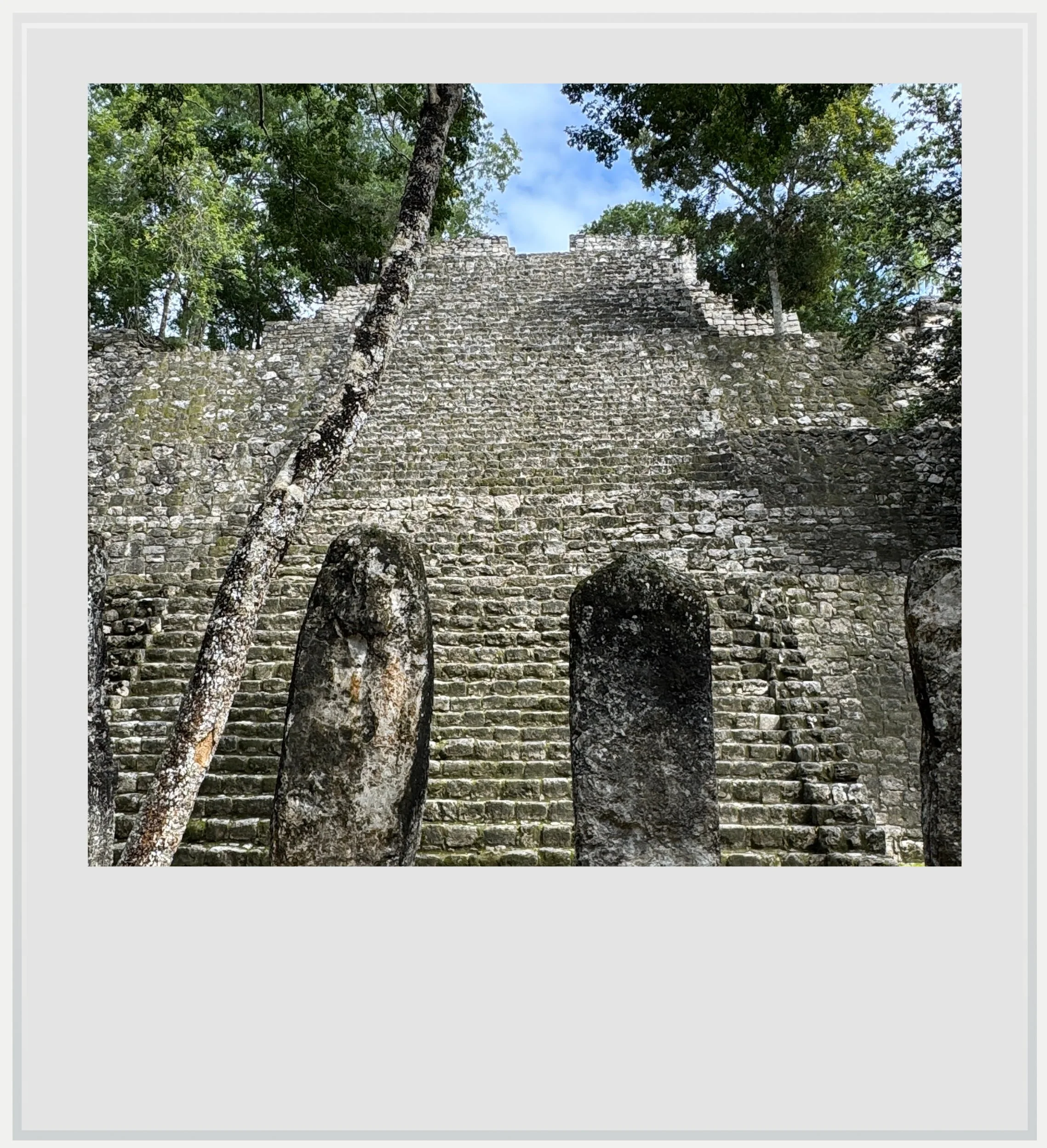 Another of the many Peten-like pyramids in Calakmul.
