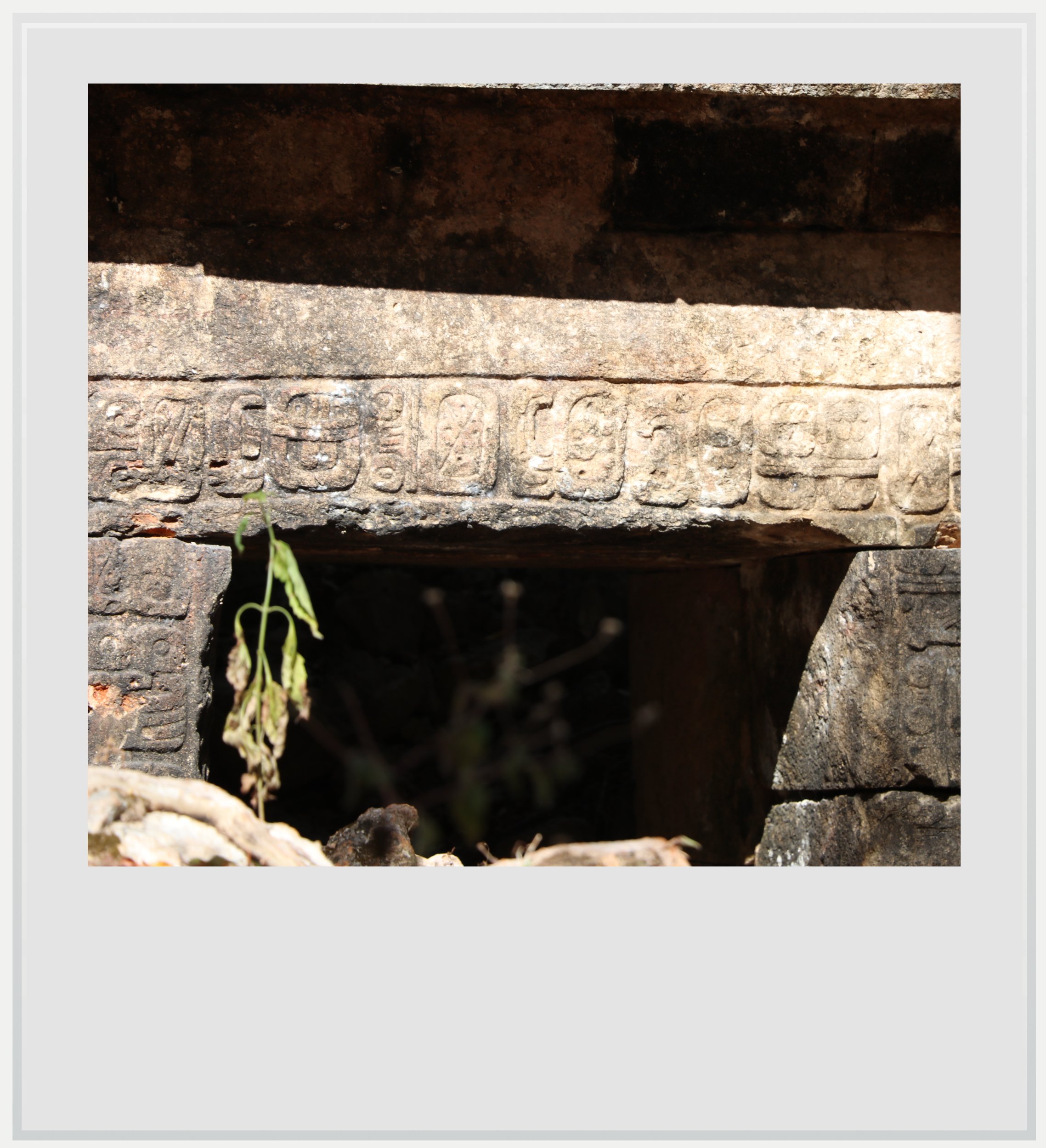 The Doorjambs Palace at Sayil, Yucatan, Mexico.