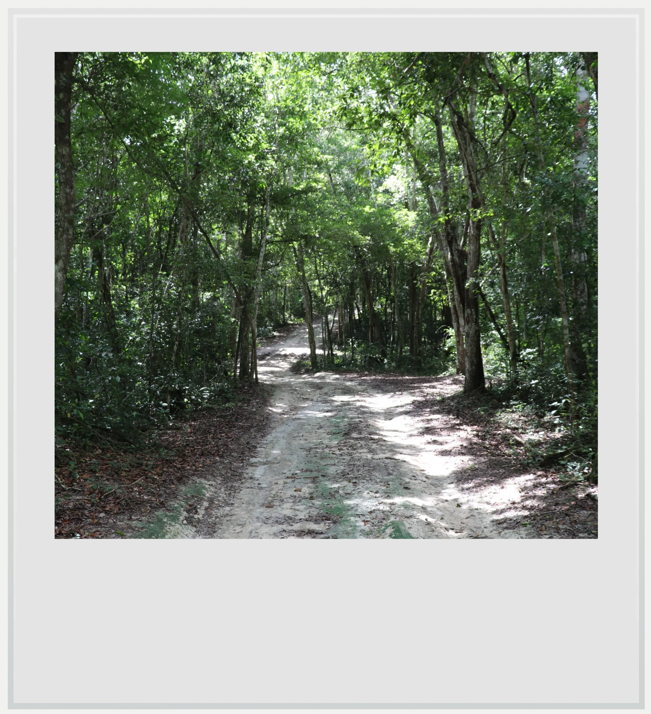 The last mile of the road to El Hormiguero, Mexico.