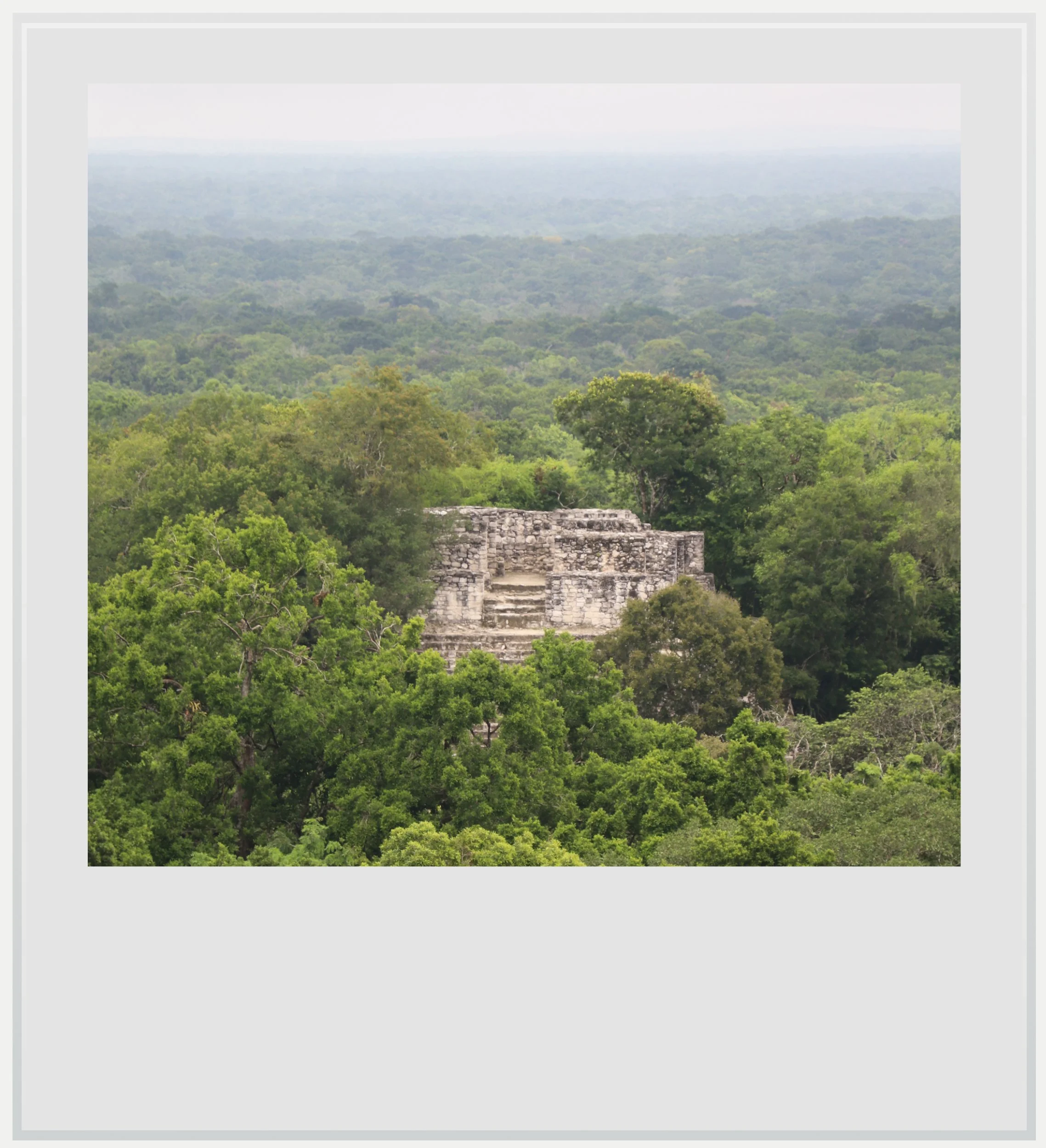 Maya ruins in the forest in Calakmul, Campeche. Mexico.