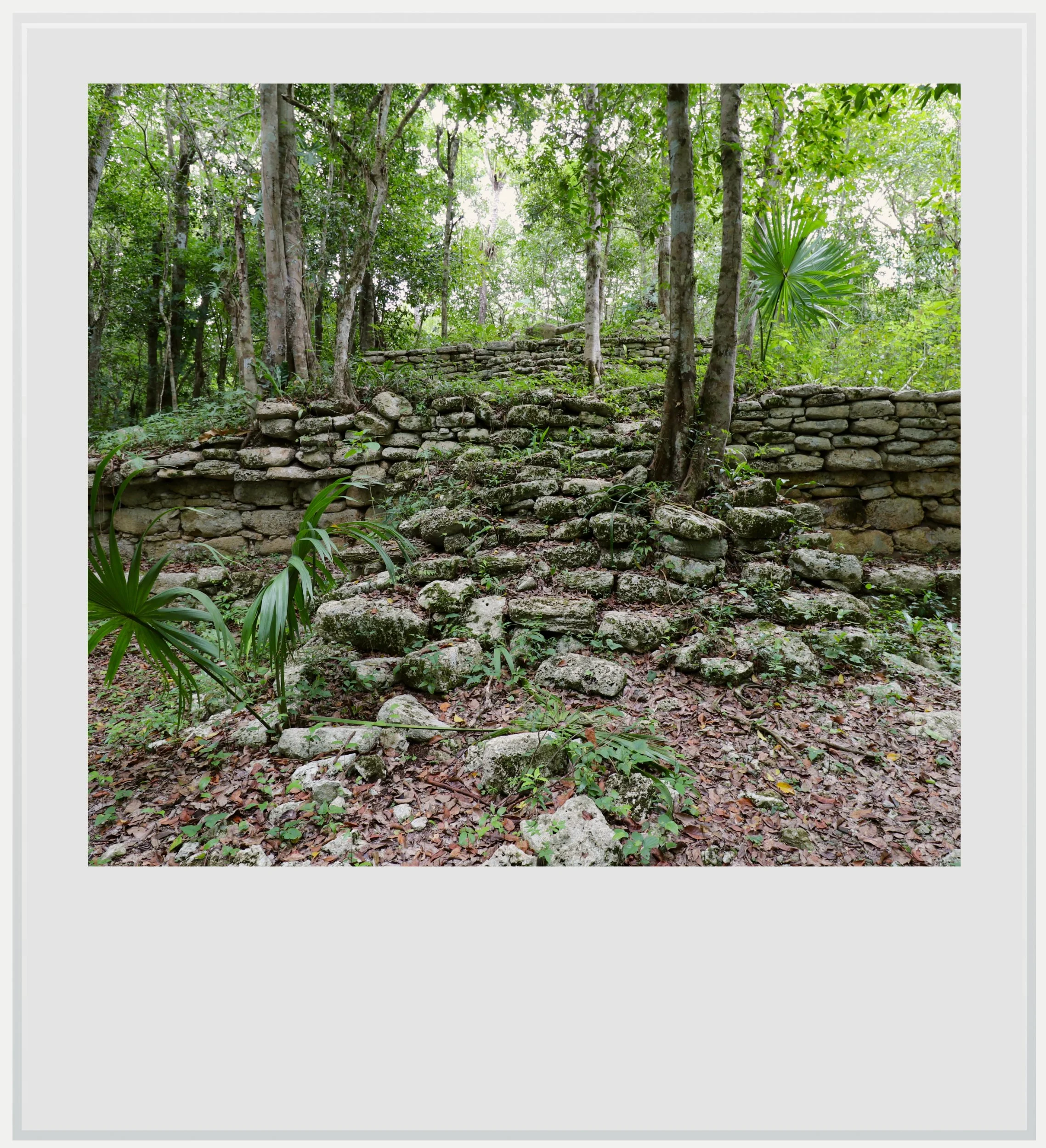 Structure 10.