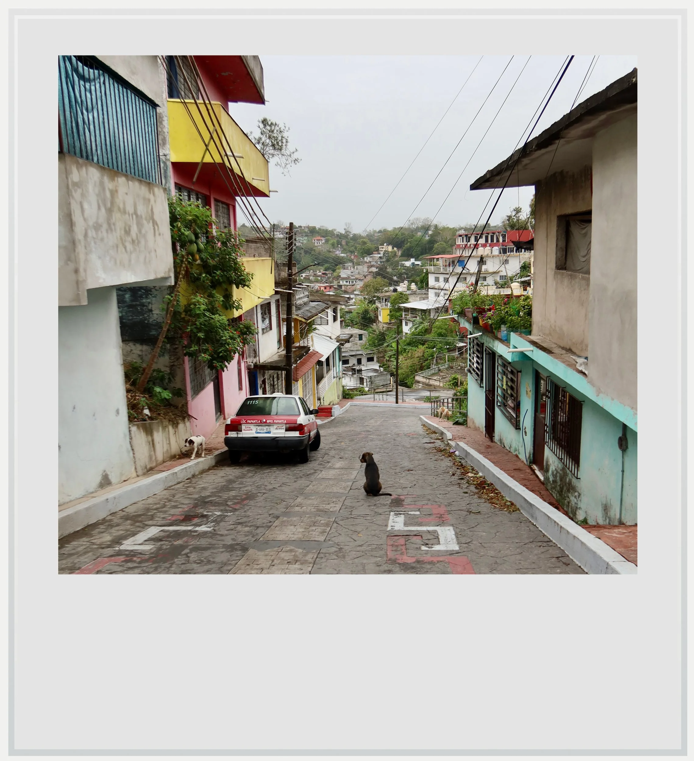 A steep street with dogs in Papantla, Veracruz, Mexico.