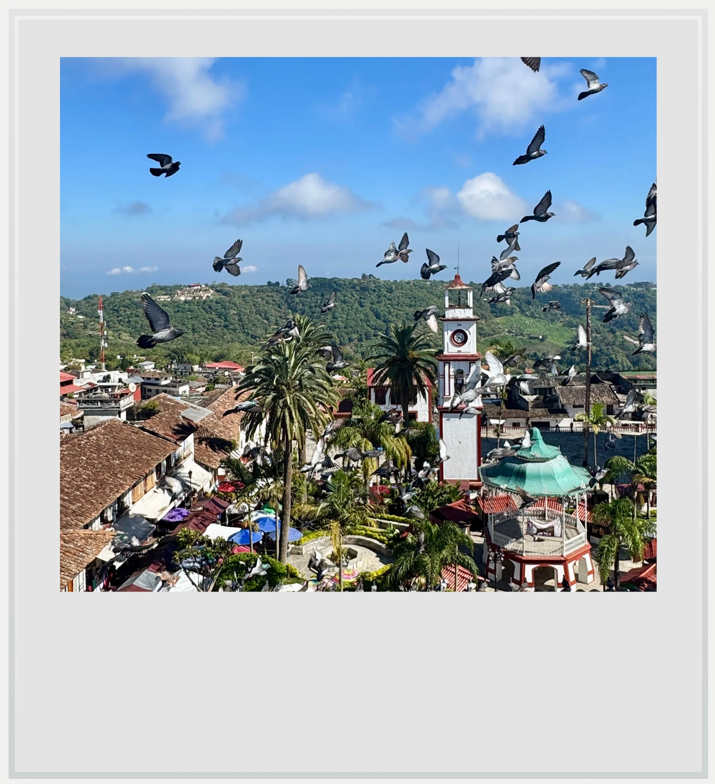A flock of pigeons flying above the main square, in Cuetzalan, Puebla, Mexico.