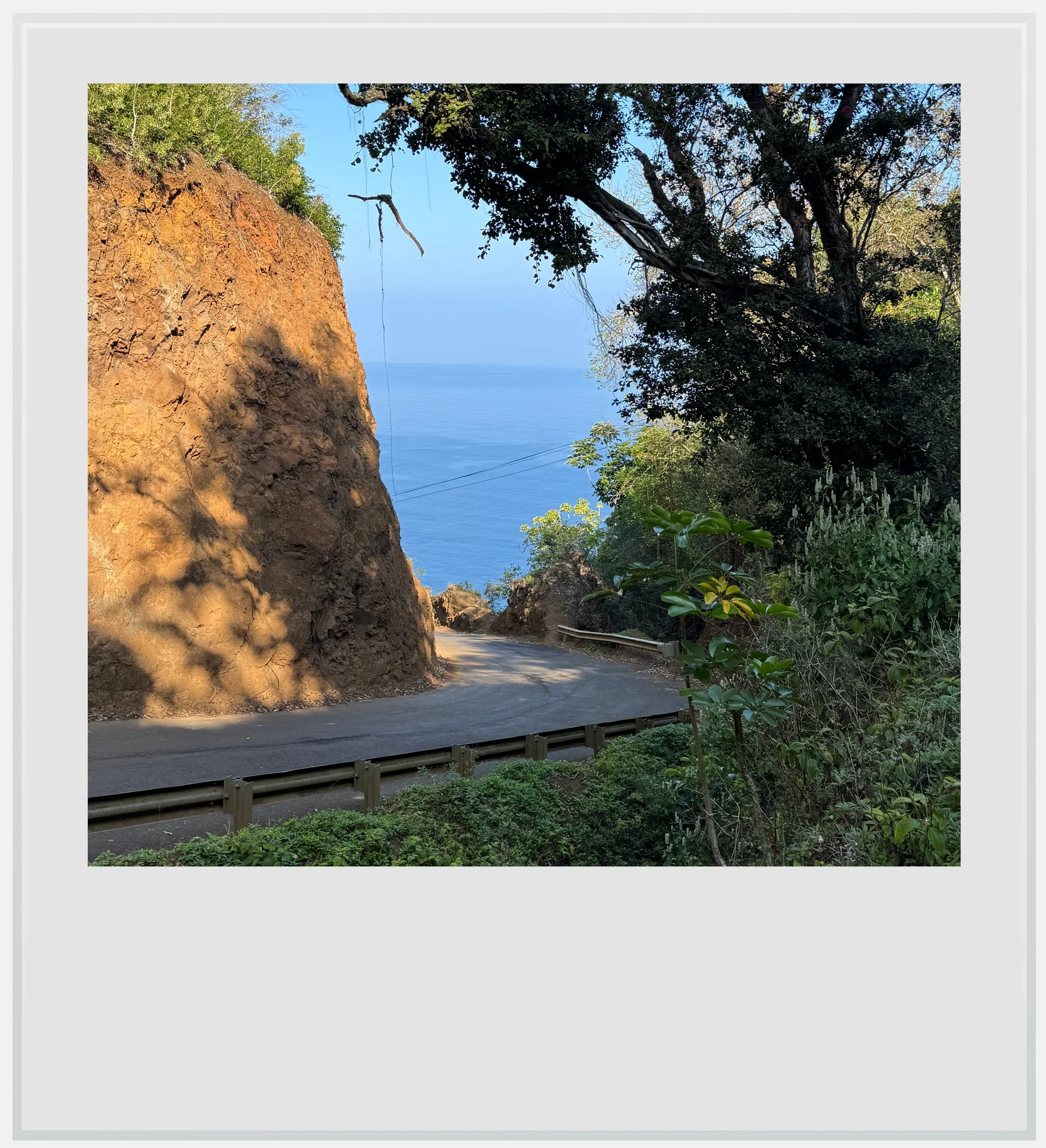 The steep road leading down to Waipio Valley, on Hawaii's Big Island.