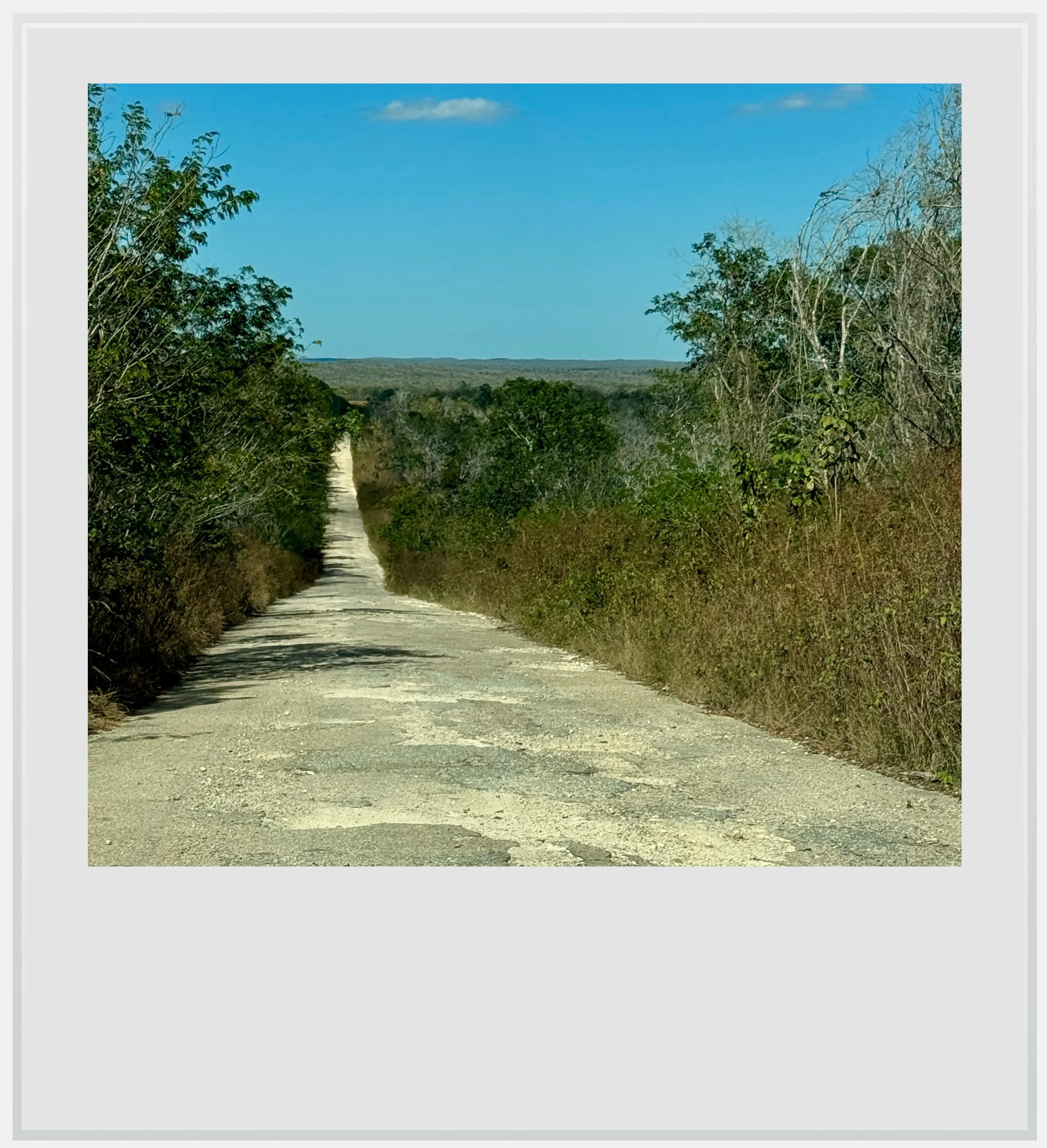 Unpaved road towards Santa Rosa Xtampak, Campeche, Mexico.