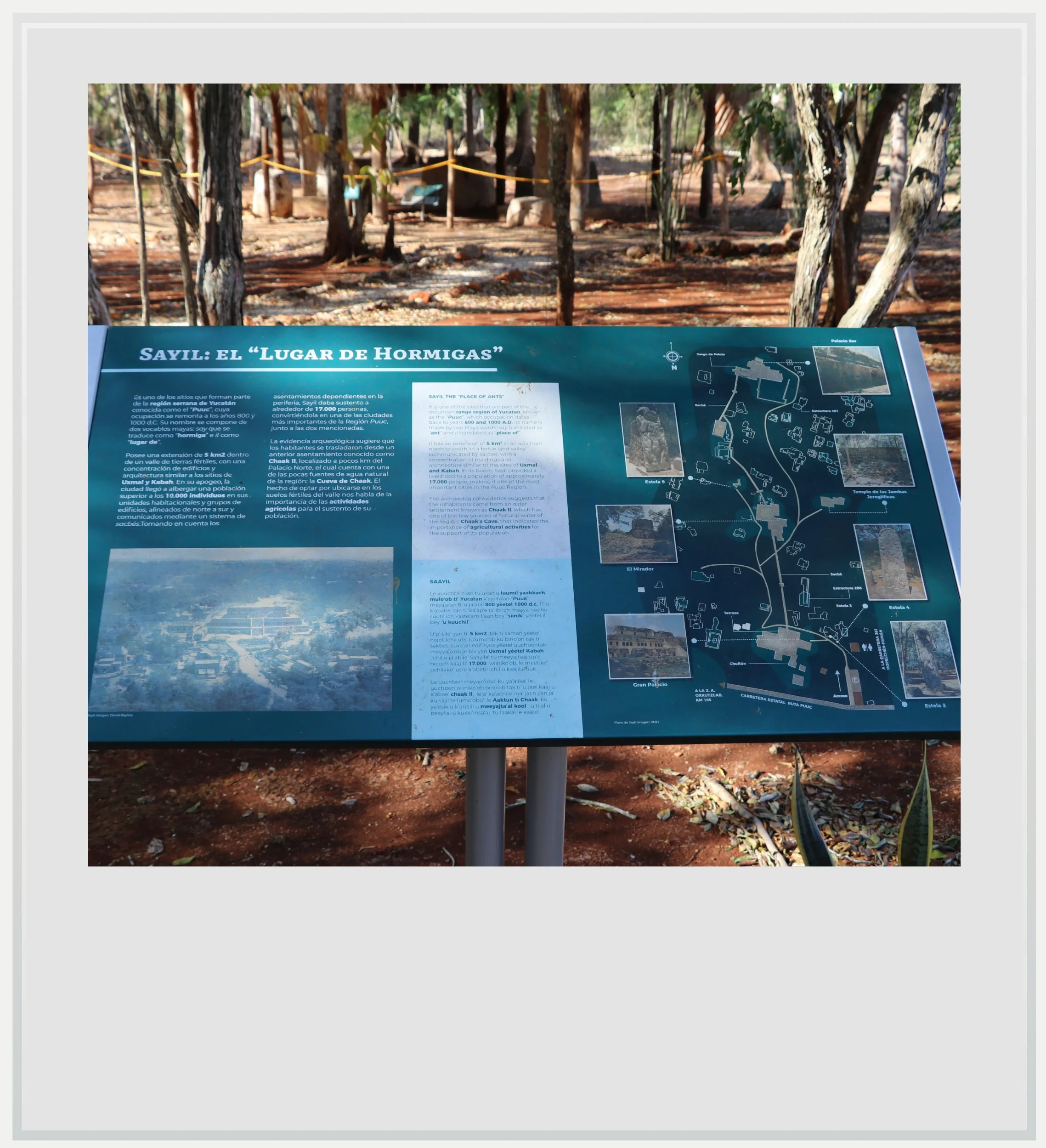 The site map for Sayil, Yucatan, Mexico.