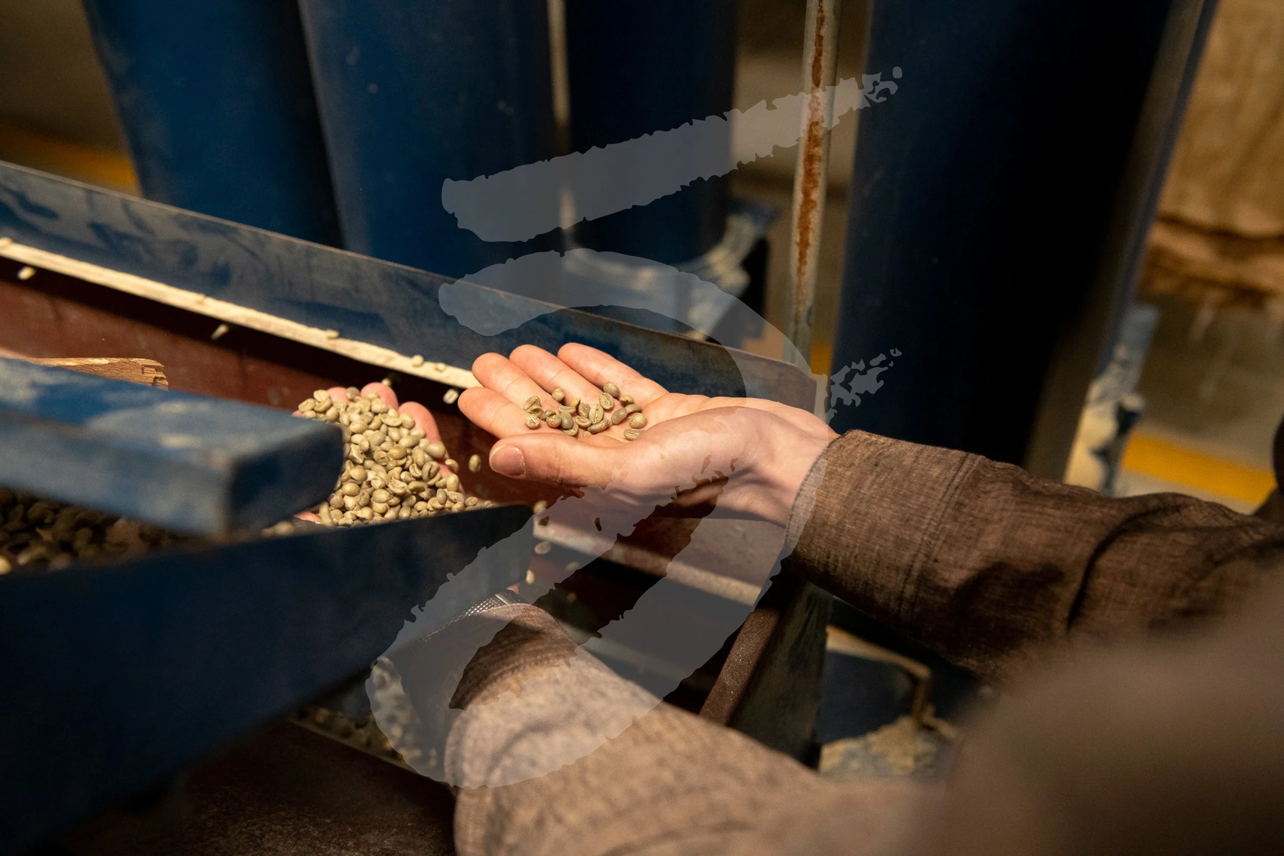 20230311_52chefs_Stock_NicaJC_WR-2659