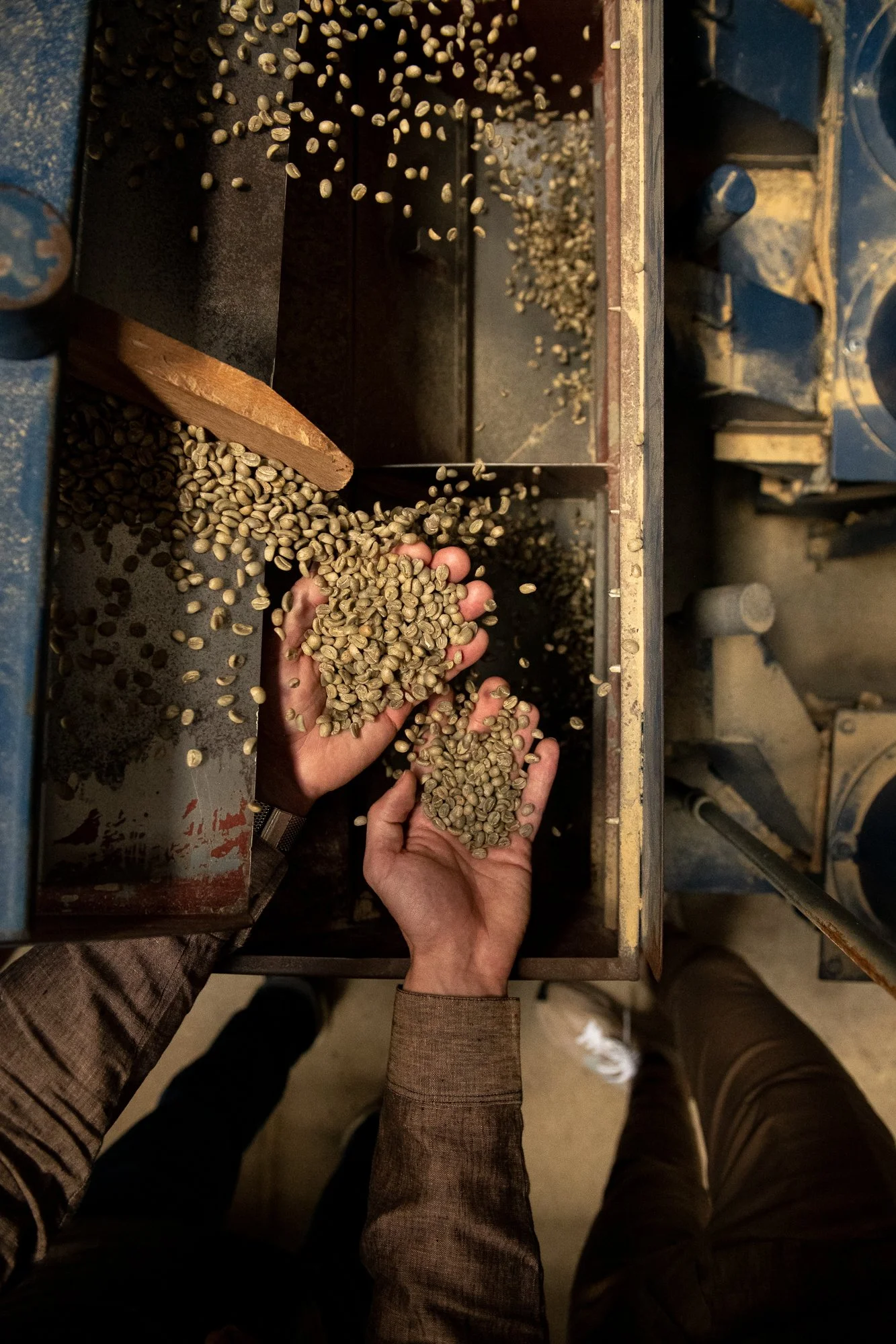 Coffee Production