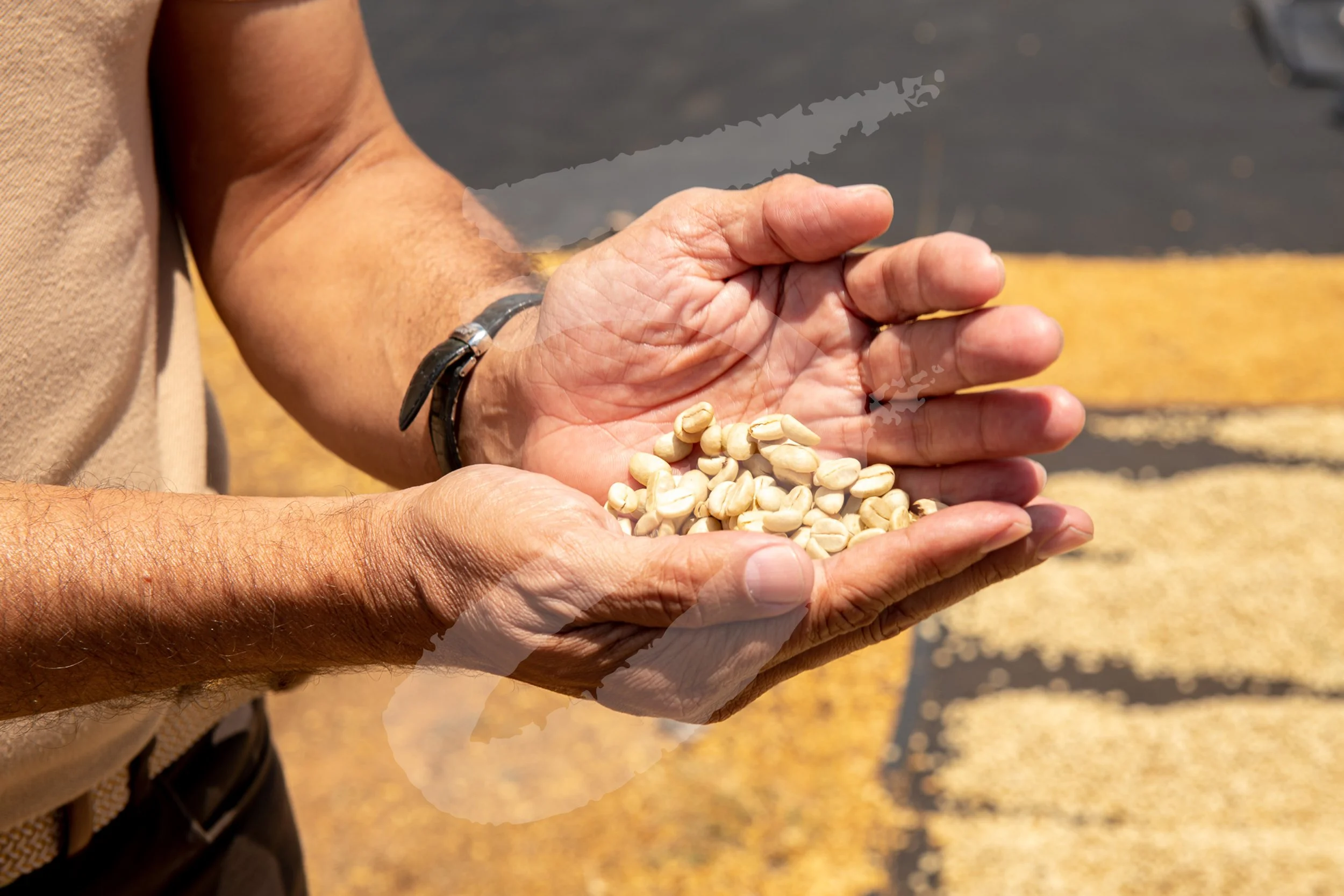 20230311_52chefs_Stock_NicaJC_WR-2085