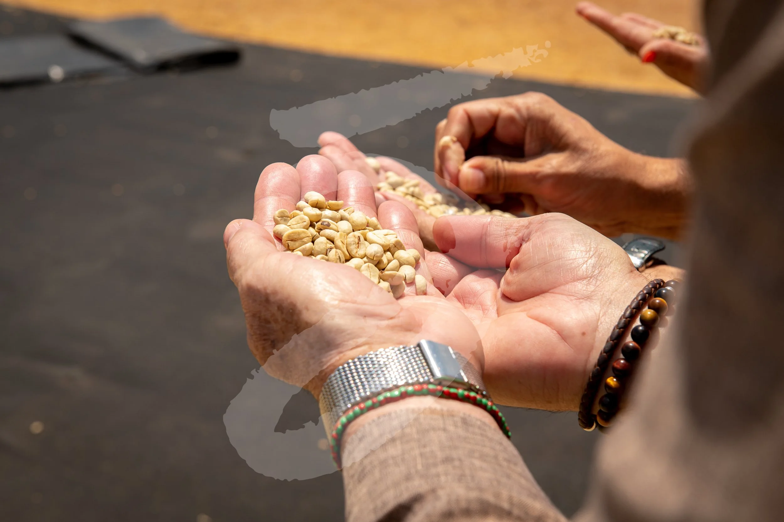 20230311_52chefs_Stock_NicaJC_WR-2098