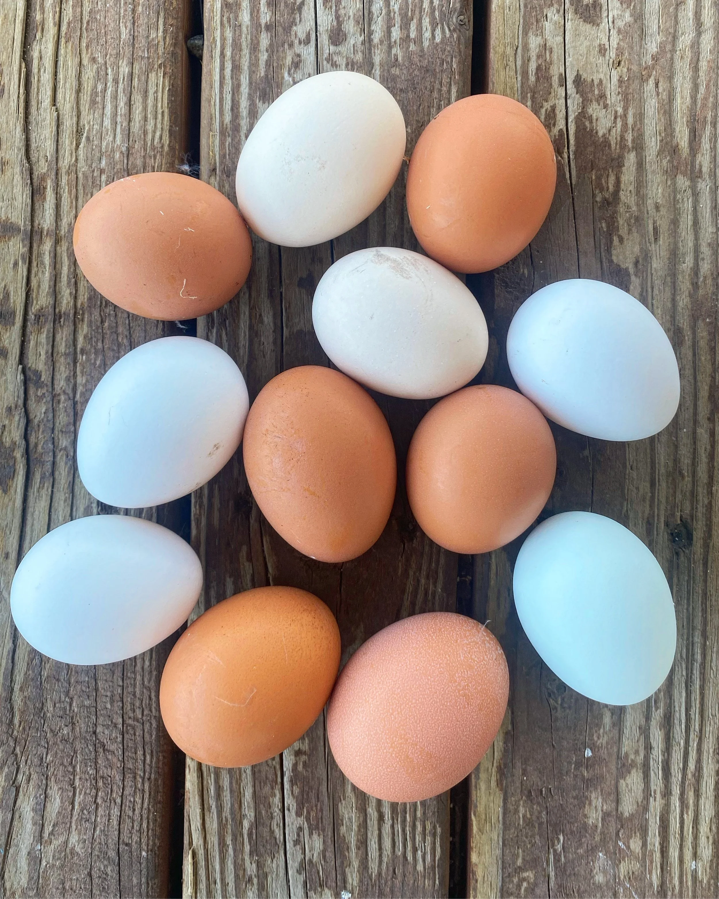 Farm-Fresh Egg Subscription