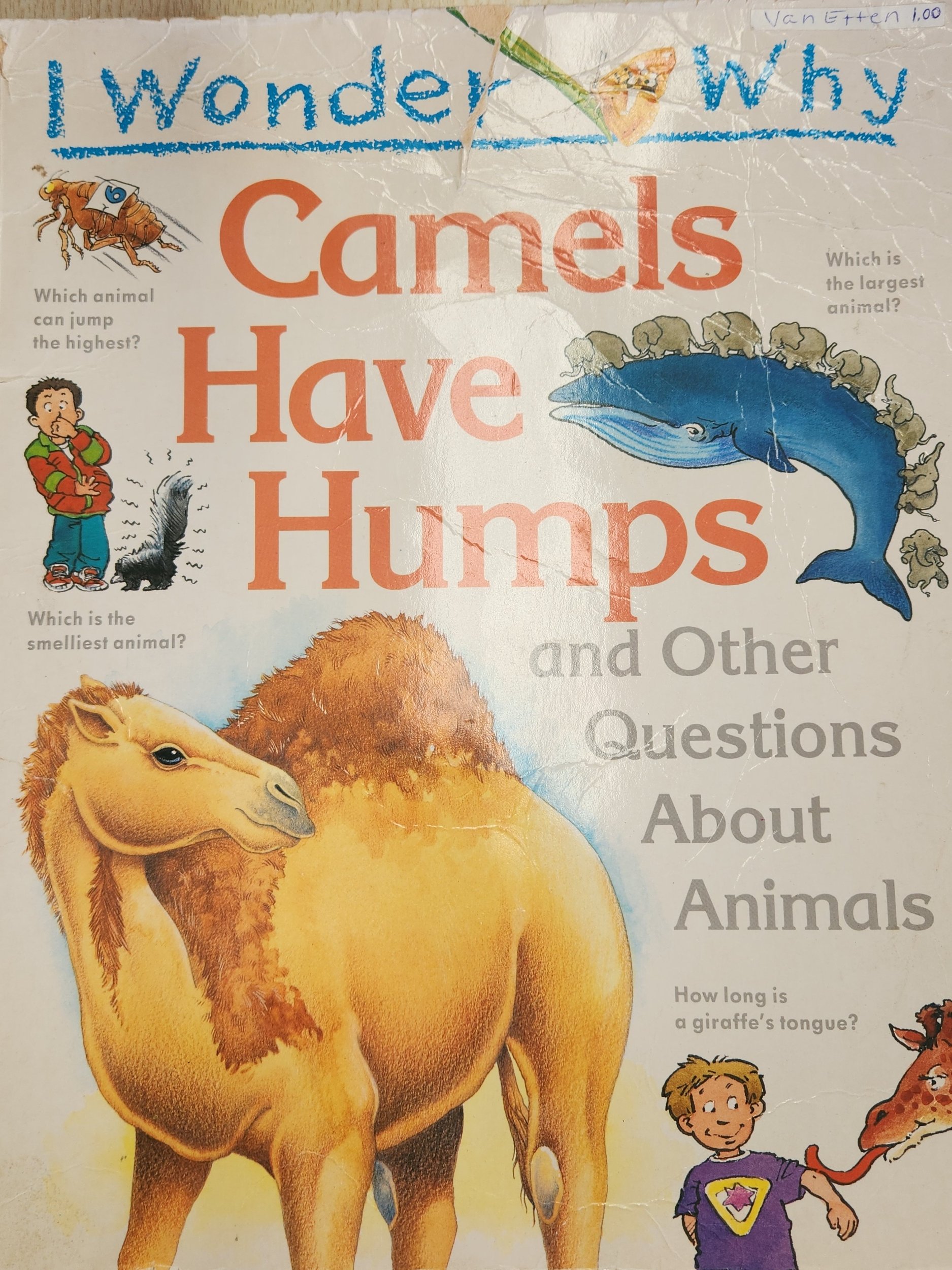 I Wonder Why Camels Have Humps
