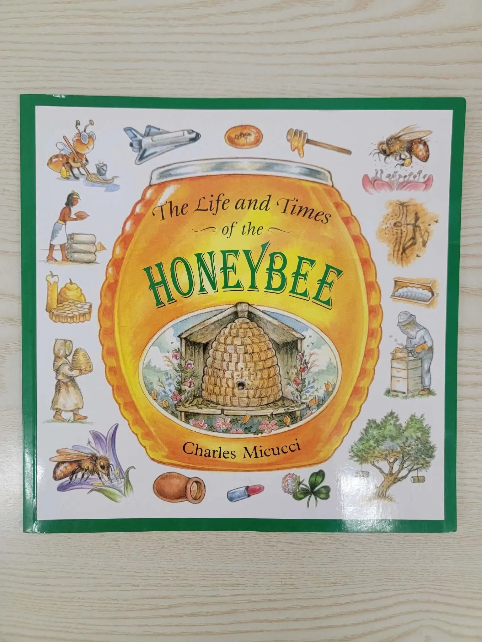 The Life and Times of the HoneyBee by Charles Micucci