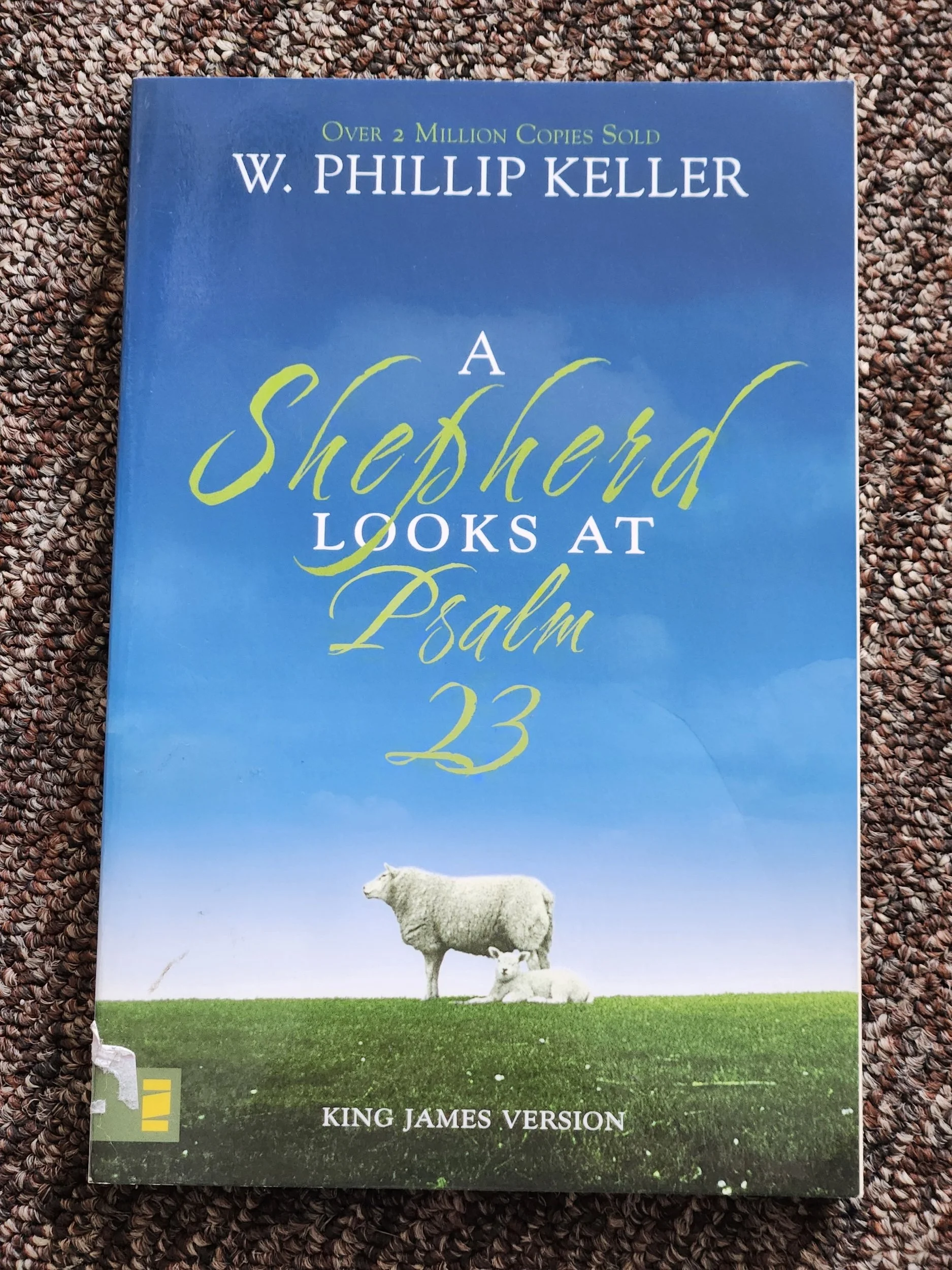 A Shepard Looks At Psalm 23