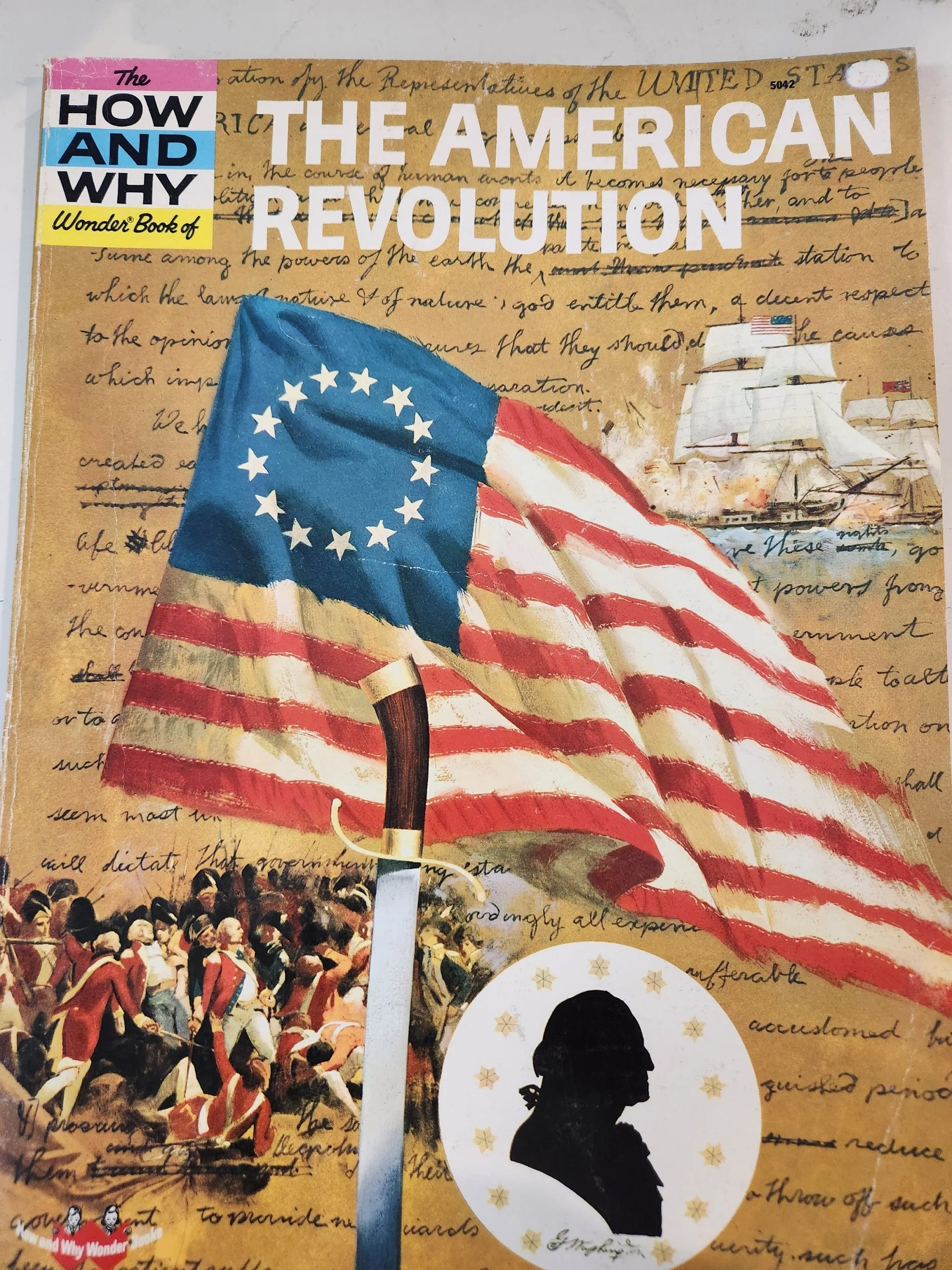 How and Why American Revolution